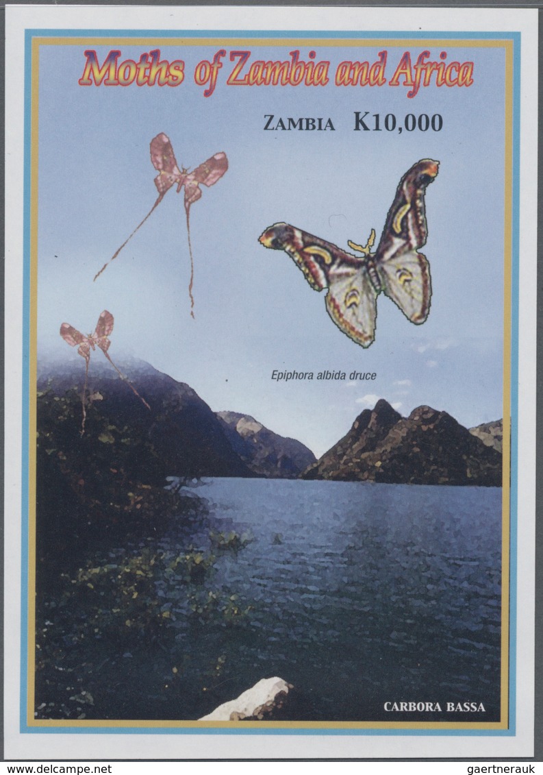 Thematik: Tiere-Schmetterlinge / Animals-butterflies: 2005, ZAMBIA: African Butterflies And Moths IM - Schmetterlinge