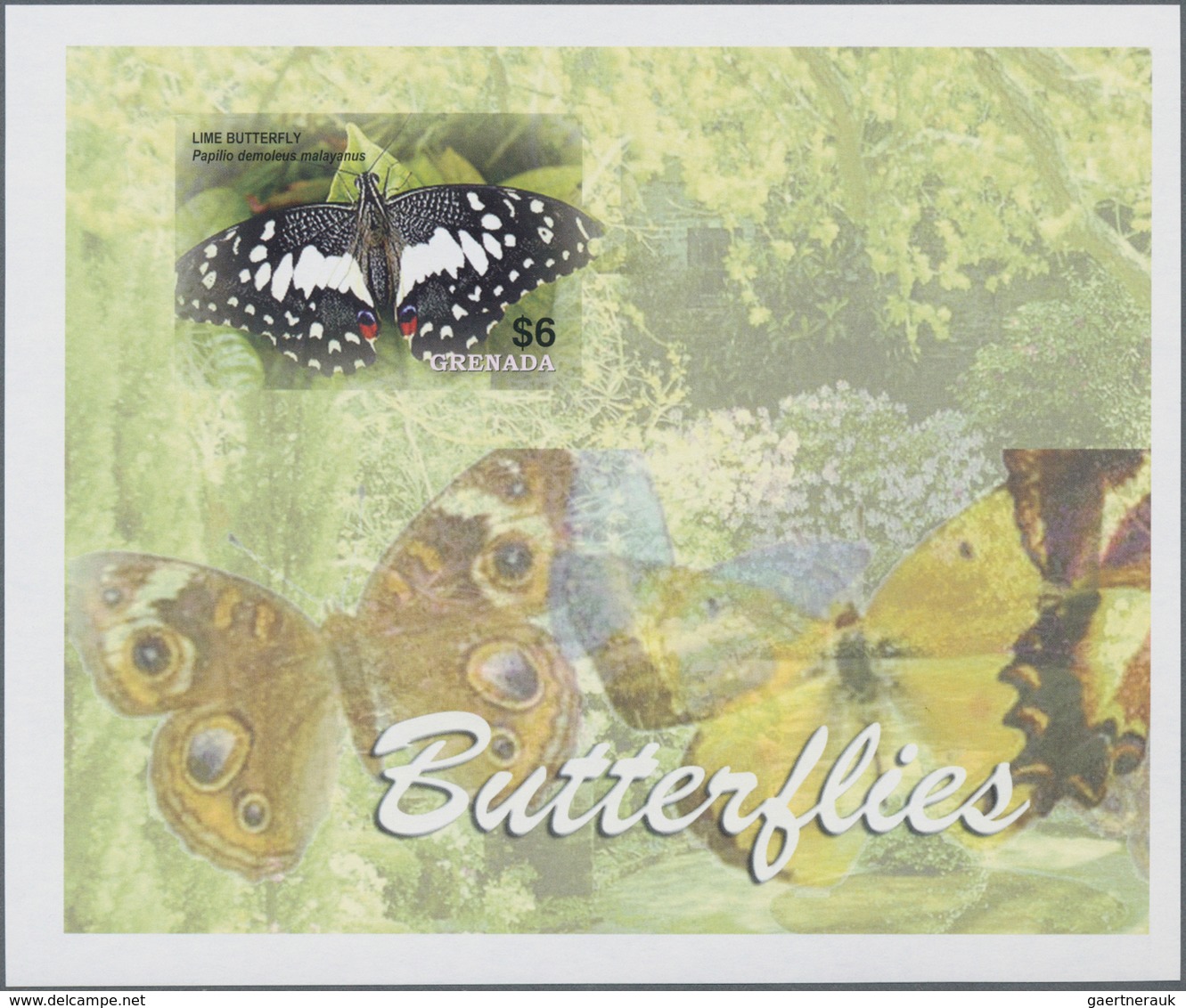 Thematik: Tiere-Schmetterlinge / Animals-butterflies: 2005, GRENADA: Butterflies Complete Set Of Six - Vlinders