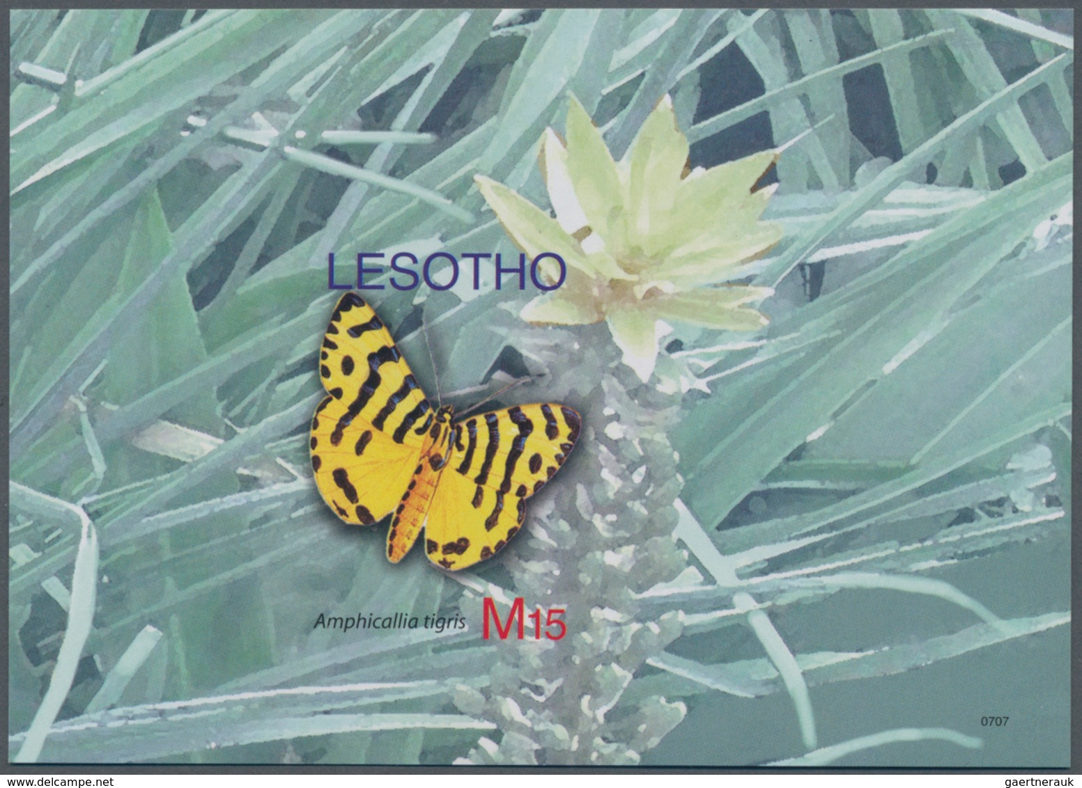 Thematik: Tiere-Schmetterlinge / Animals-butterflies: 2007, Lesotho. Imperforate Souvenir Sheet (1 V - Schmetterlinge