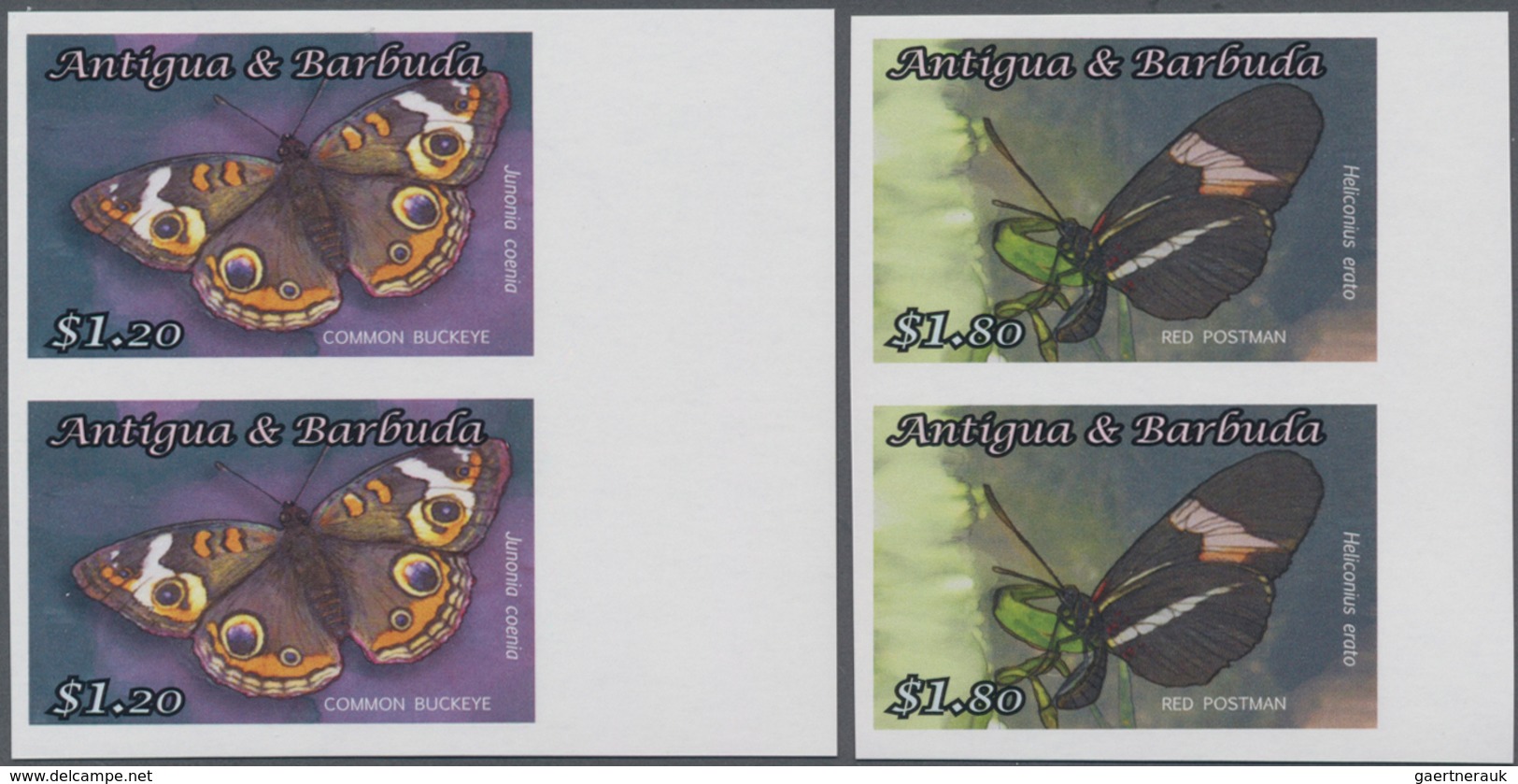 Thematik: Tiere-Schmetterlinge / Animals-butterflies: 2010, ANTIGUA & BARBUDA: Butterflies Complete - Vlinders