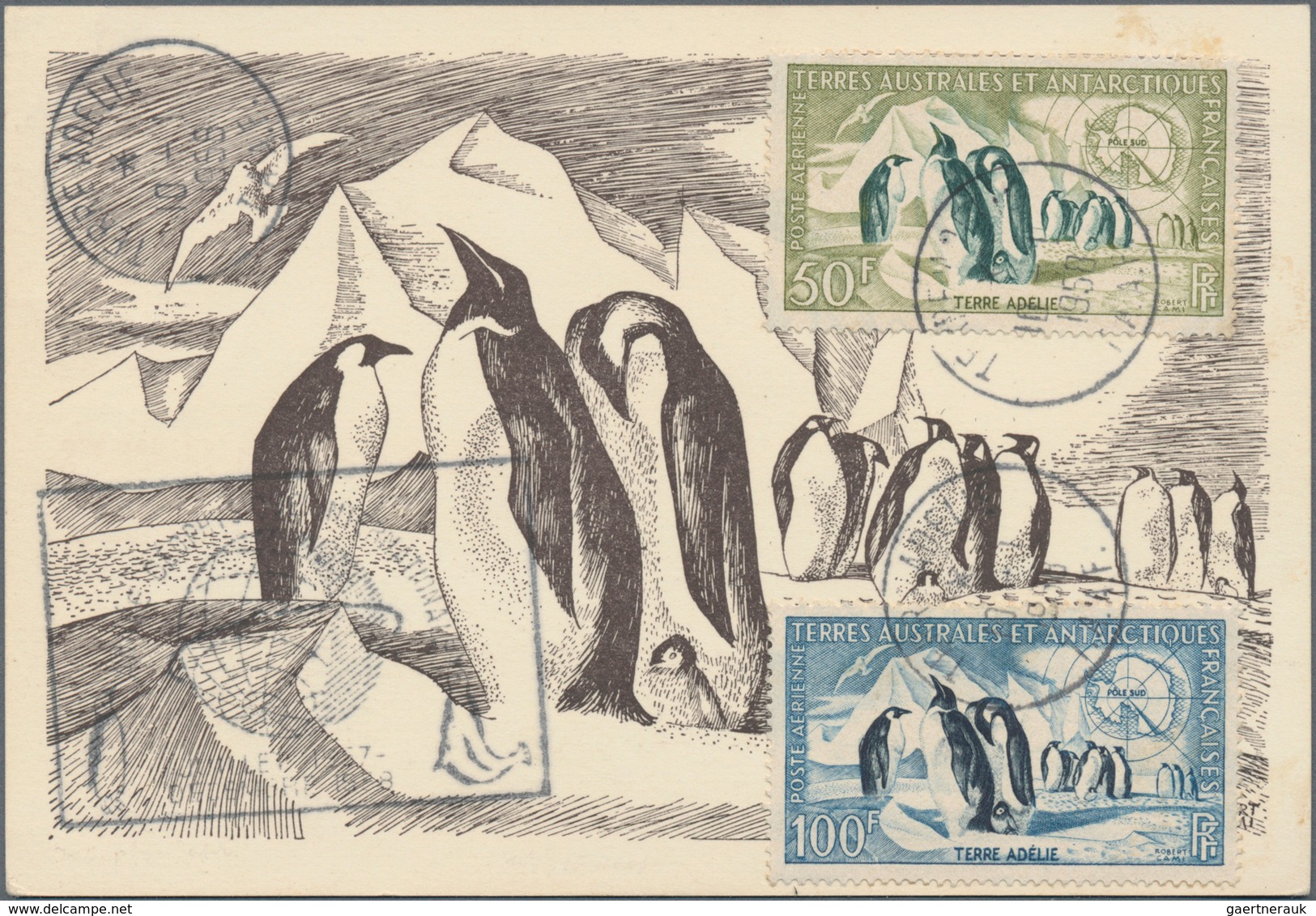 Thematik: Tiere-Vögel / Animals-birds: 1958, French Antarctic Territories. Maximum Card With The Com - Other & Unclassified