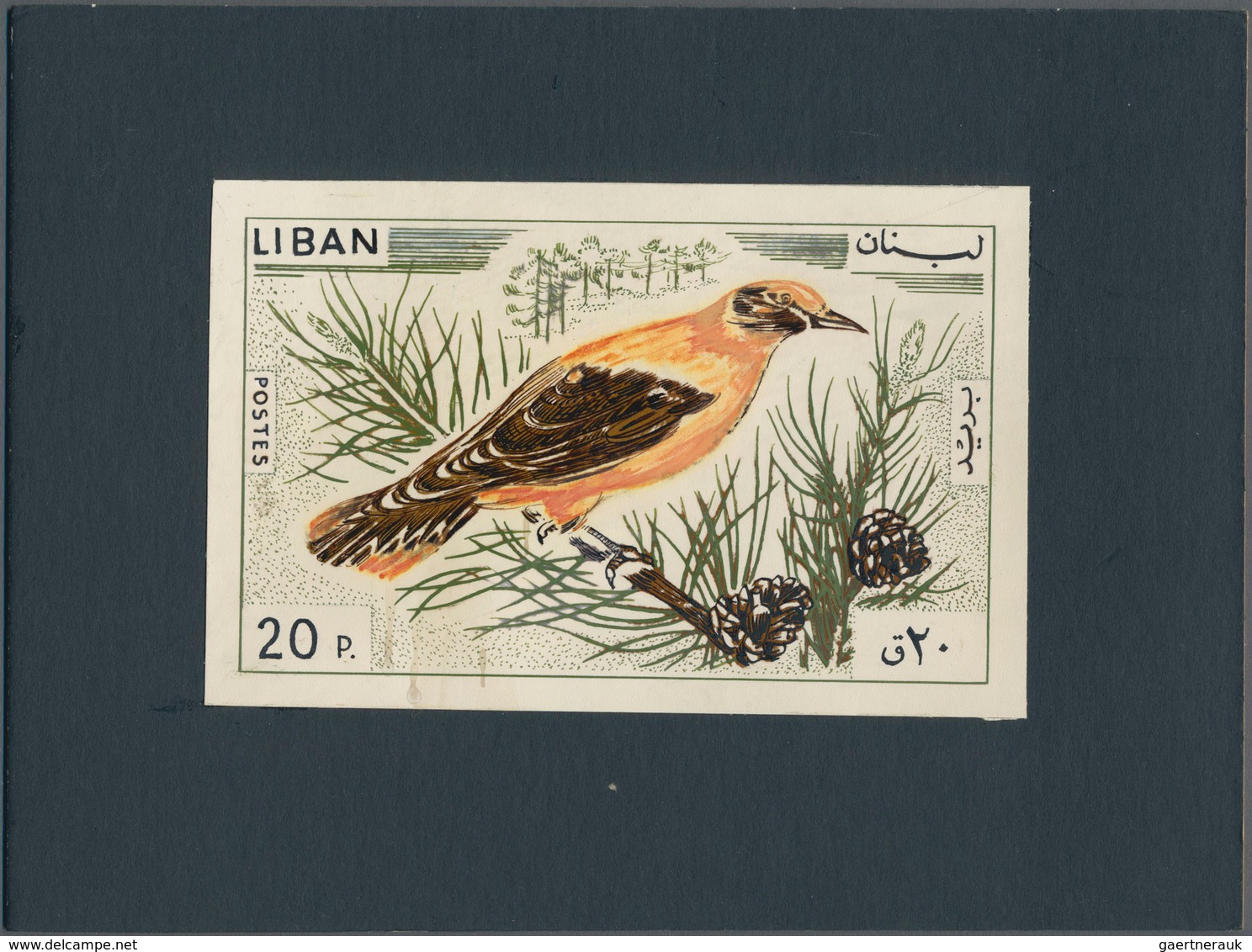 Thematik: Tiere-Vögel / Animals-birds: 1965, Libanon, Issue Birds, Artist Drawing (136x88) 20 Pia. O - Andere & Zonder Classificatie