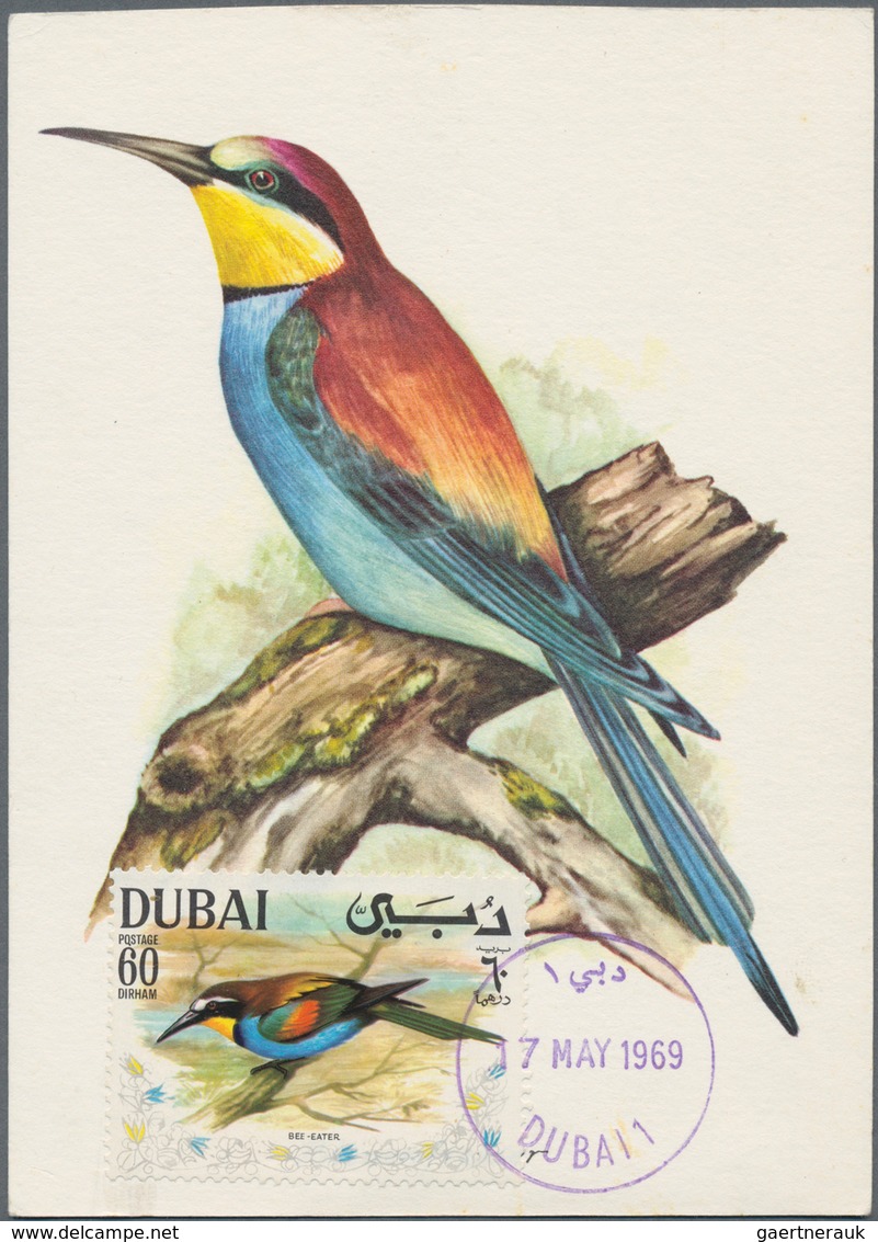 Thematik: Tiere-Vögel / Animals-birds: 1969, Dubai. Maximum Card For The Stamp "60dh Bee-eater". Unu - Andere & Zonder Classificatie