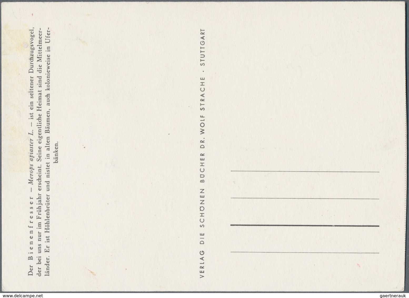 Thematik: Tiere-Vögel / Animals-birds: 1969, Dubai. Maximum Card For The Stamp "60dh Bee-eater". Unu - Sonstige & Ohne Zuordnung