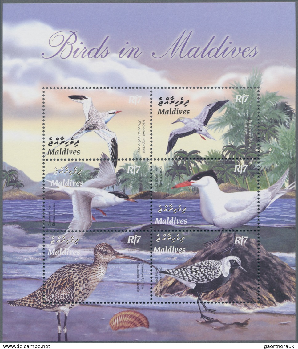 Thematik: Tiere-Vögel / Animals-birds: 2003, MALDIVES: Native Birds Part Set Of Six In Perforate And - Sonstige & Ohne Zuordnung