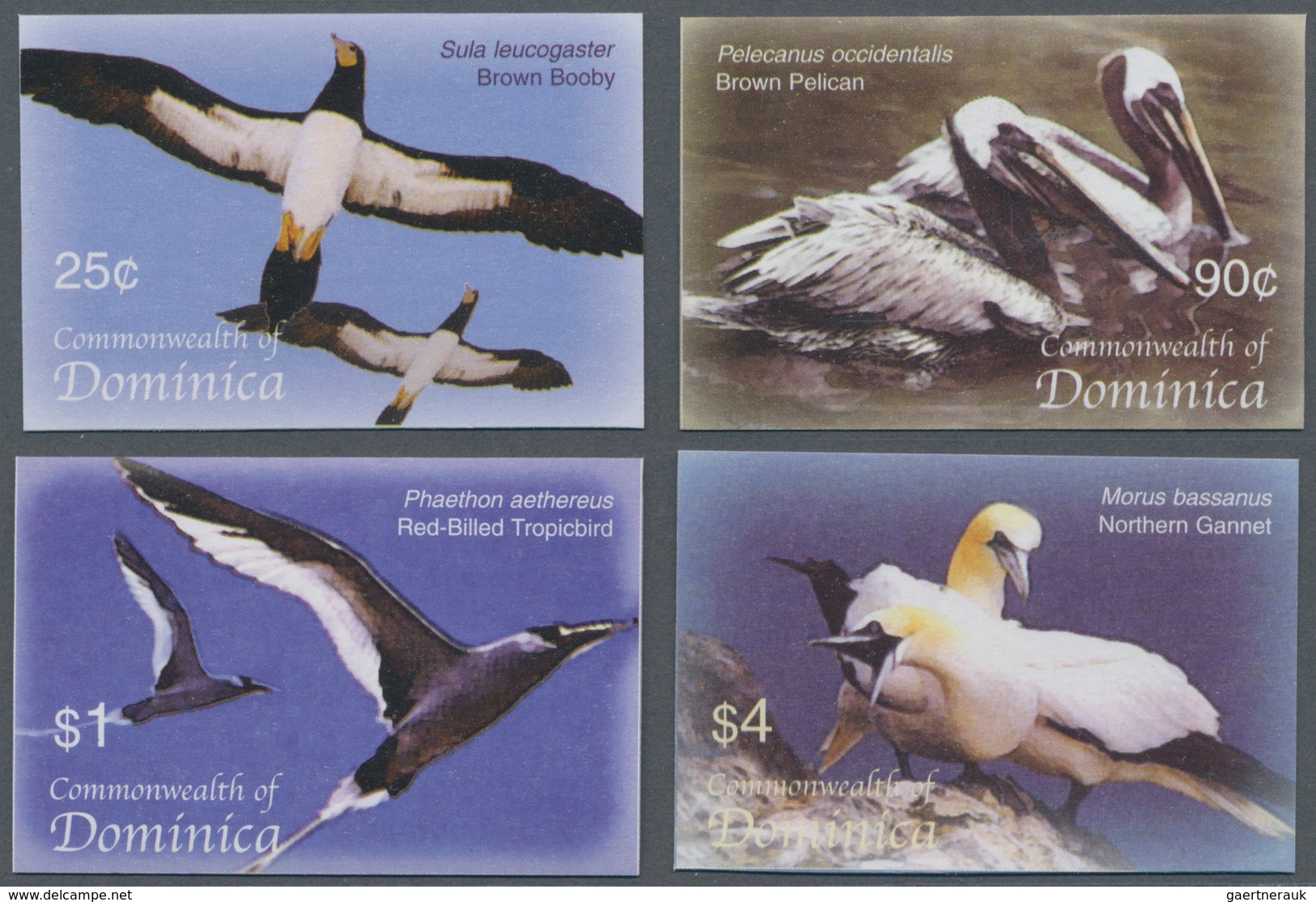 Thematik: Tiere-Vögel / Animals-birds: 2005, Dominica. Complete Set "Birds Of The Caribbean" (4 Valu - Other & Unclassified