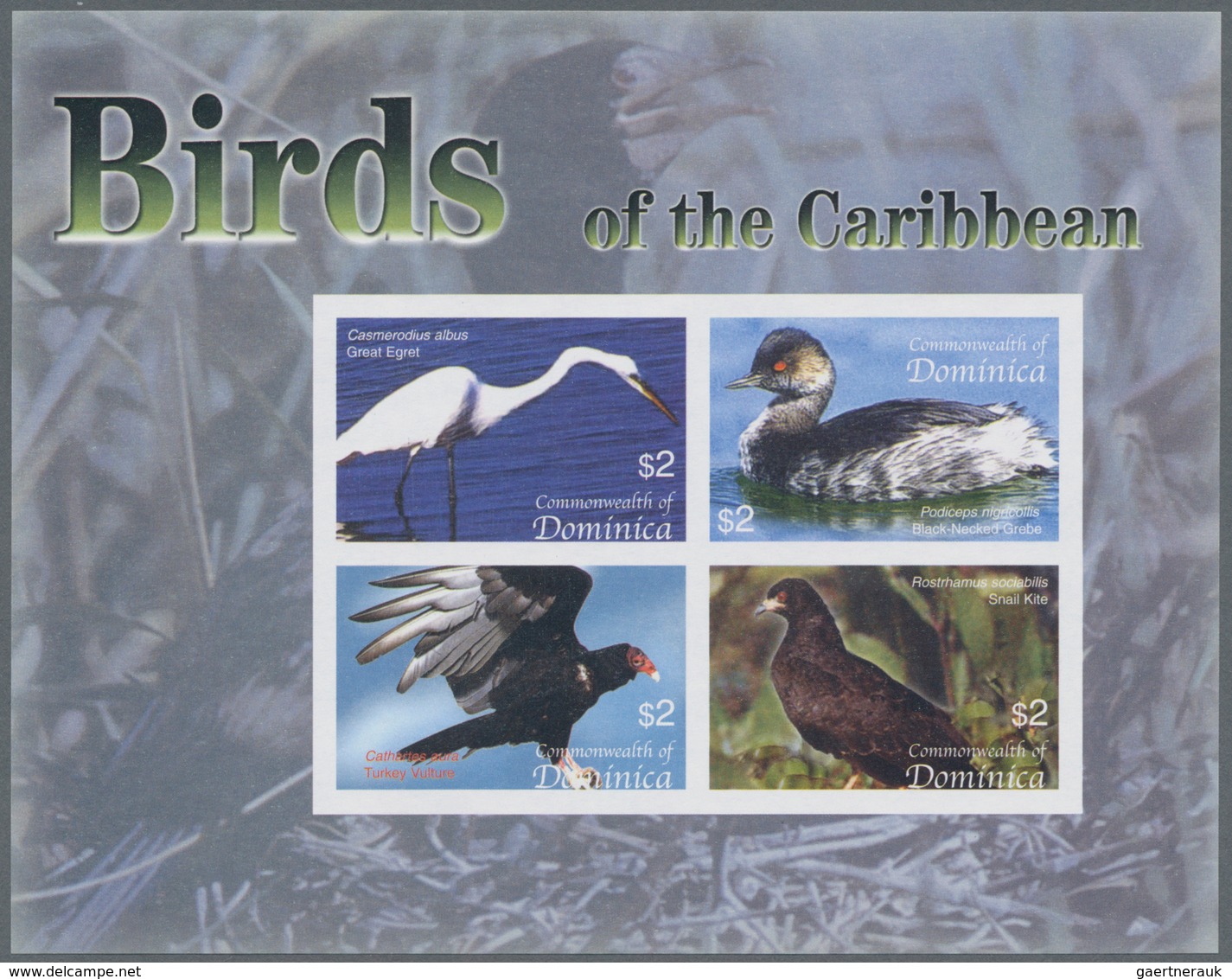 Thematik: Tiere-Vögel / Animals-birds: 2005, Dominica. Imperforate Miniature Sheet Of 4 For The Seri - Other & Unclassified