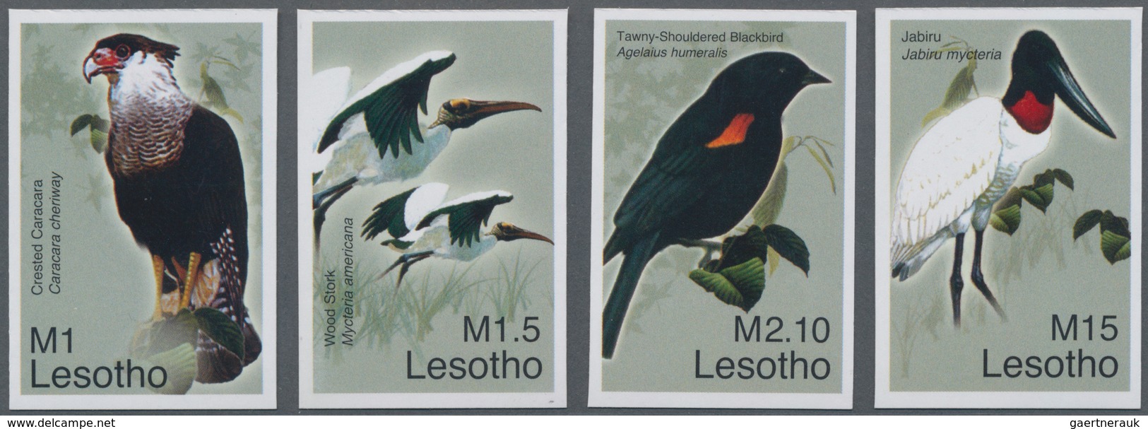 Thematik: Tiere-Vögel / Animals-birds: 2007, Lesotho. Complete Set "Birds From All Over The World" ( - Sonstige & Ohne Zuordnung