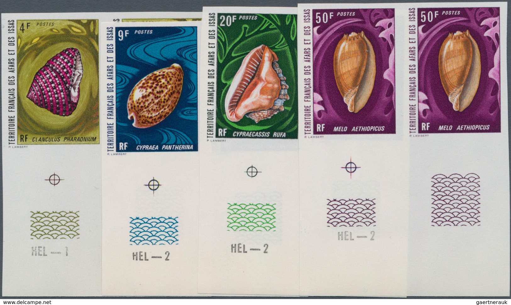 Afar Und Issa: 1972, Sea Snails Complete Set Of Four In IMPERFORATE Horizontal Pairs From Lower Marg - Other & Unclassified