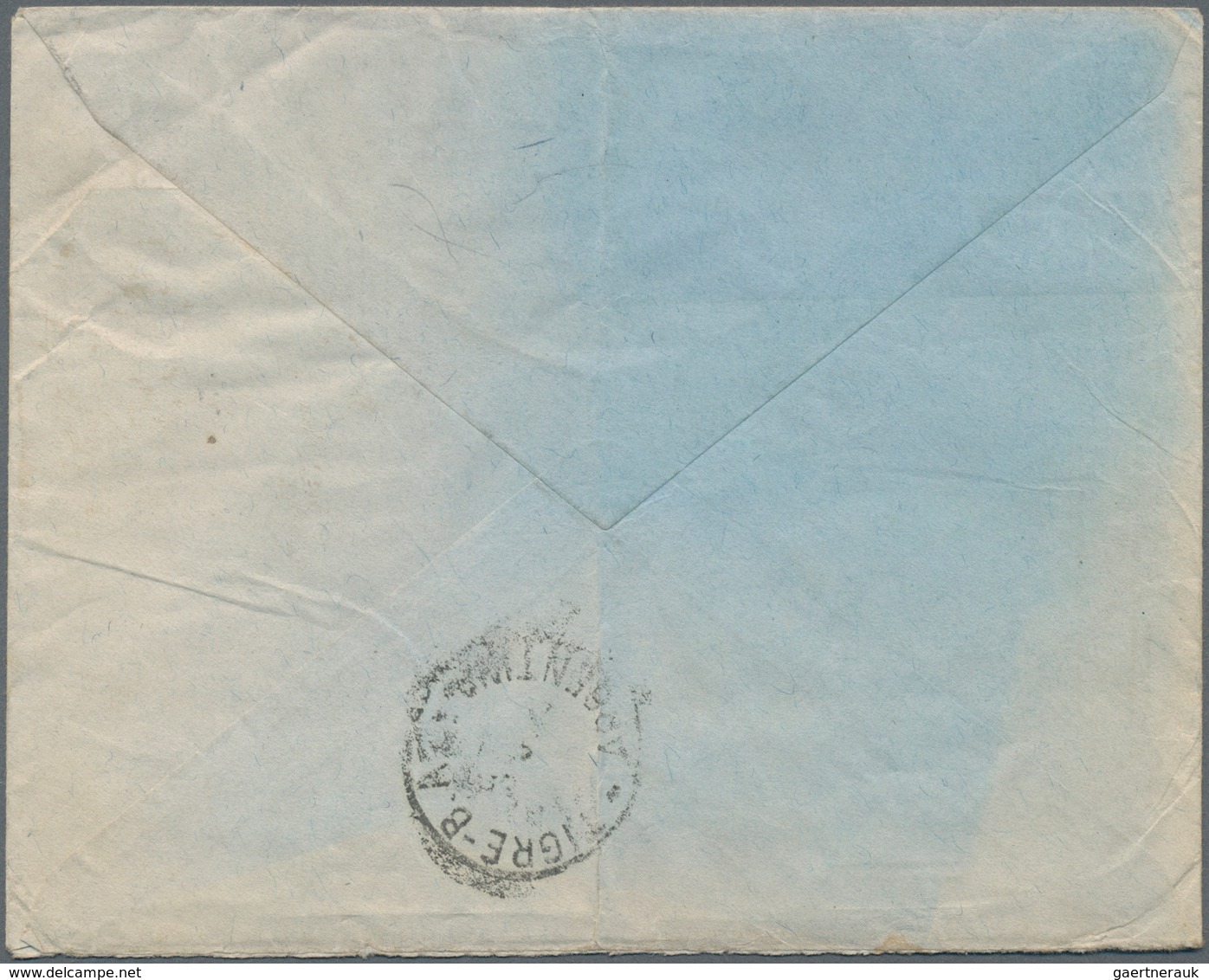 Argentinien - Ganzsachen: 1924, Stationery Envelope On Private Order San Martin 2 C Deep-brown On Bl - Postal Stationery