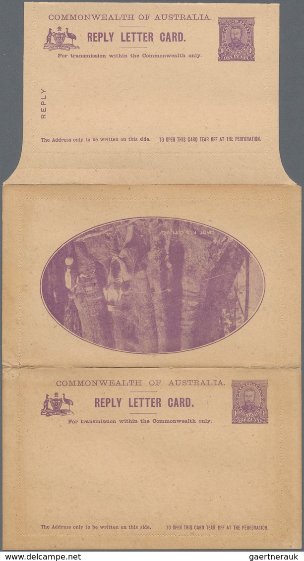 Australien - Ganzsachen: 1911, Reply-lettercard KGV Full-face 1d.+1d. Violet With Pictures 'GIANT RE - Ganzsachen