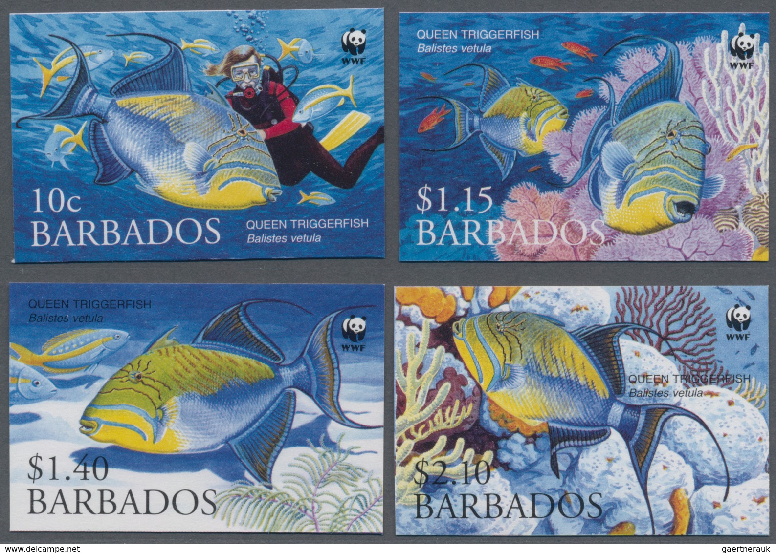 Barbados: 2006, WWF 'Queen Triggerfish (Balistes Vetula)' Complete IMPERFORATE Set Of Four, Mint Nev - Barbados (1966-...)