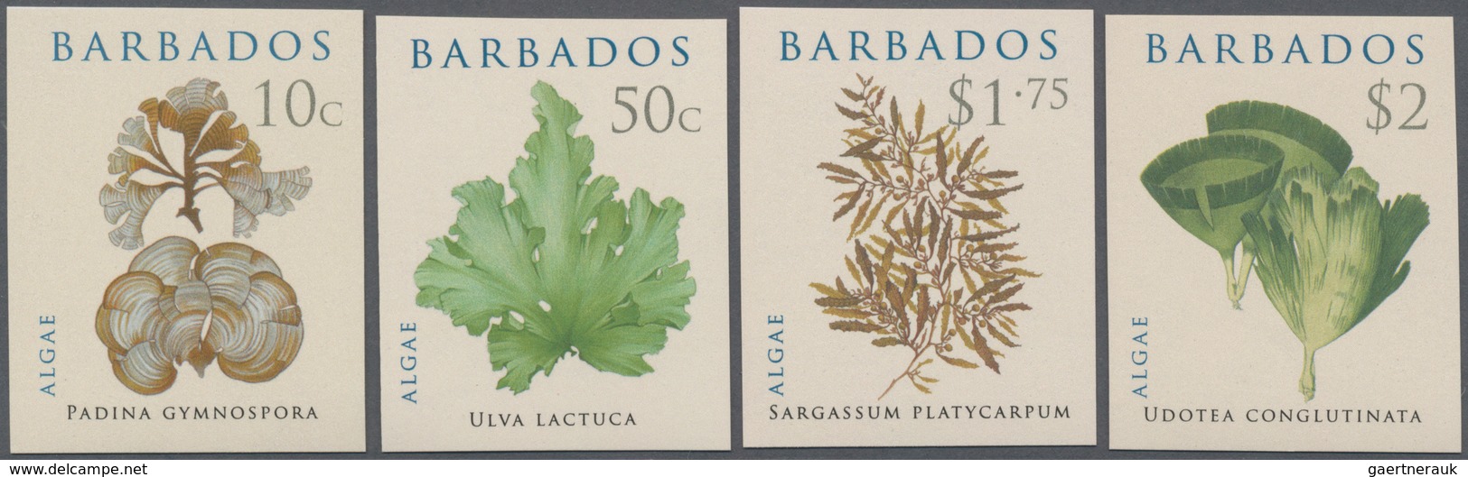 Barbados: 2008, Algae Complete IMPERFORATE Set Of Four, Mint Never Hinged And Scarce! - Barbados (1966-...)