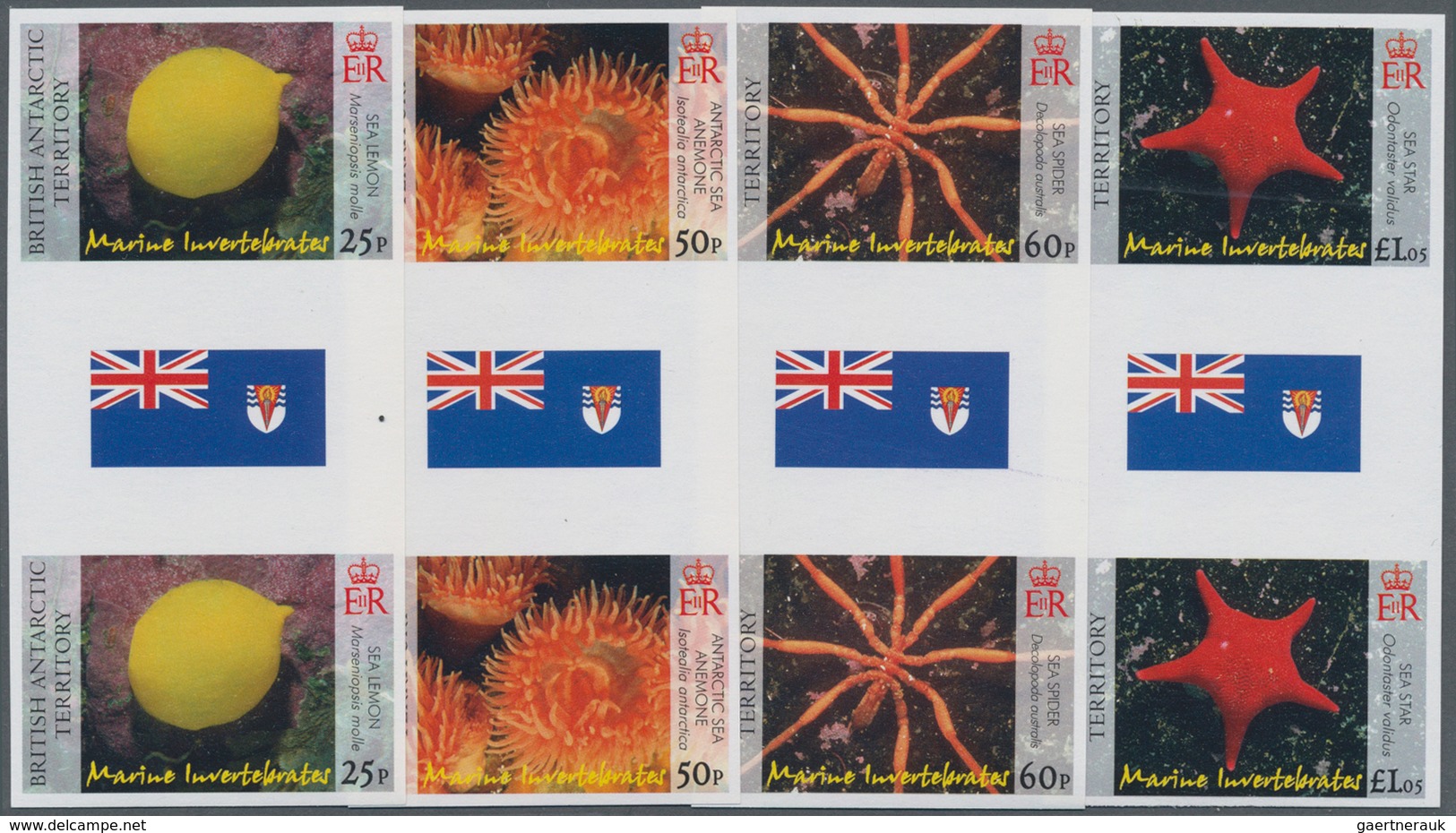 Britische Gebiete In Der Antarktis: 2007, Sea Animals (sea Star, Sea Spider, Antarctic Sea Anemone A - Unused Stamps