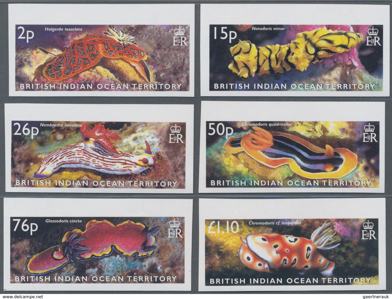 Britisches Territorium Im Indischen Ozean: 2003, Nudibranch Snails Complete IMPERFORATE Set Of Six F - Andere & Zonder Classificatie