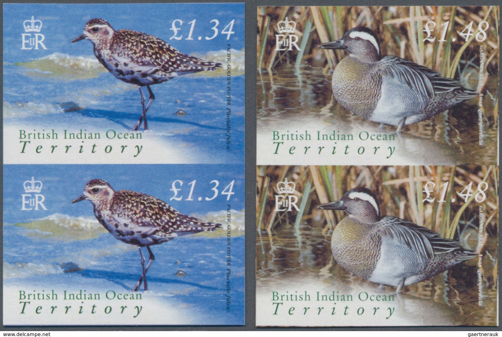 Britisches Territorium Im Indischen Ozean: 2004, Bird Definitives Complete Set Of Twelve In Vertical - Autres & Non Classés