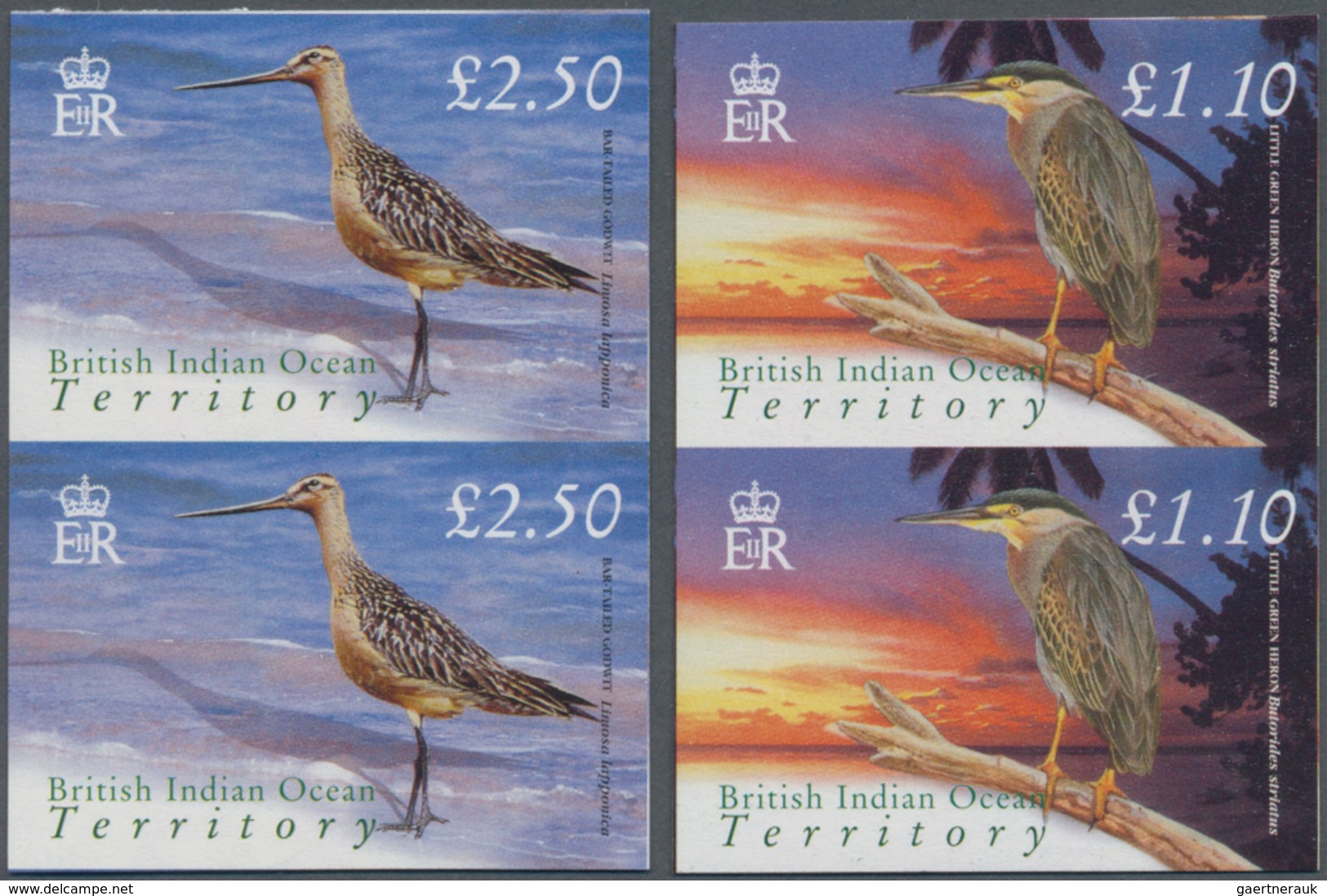 Britisches Territorium Im Indischen Ozean: 2004, Bird Definitives Complete Set Of Twelve In Vertical - Other & Unclassified