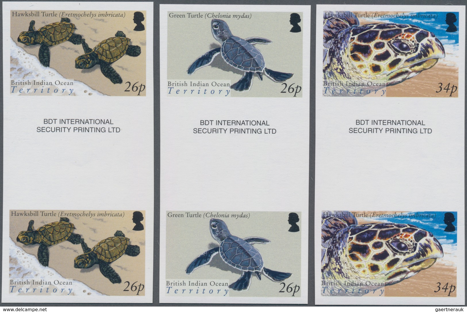 Britisches Territorium Im Indischen Ozean: 2005, Turtles Complete Set Of Six In Vertical IMPERFORATE - Other & Unclassified