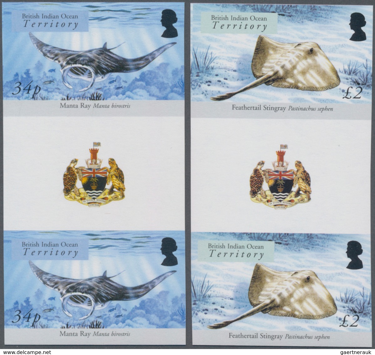 Britisches Territorium Im Indischen Ozean: 2005, Sharks And Rays Complete Set Of Eight In Vertical I - Other & Unclassified