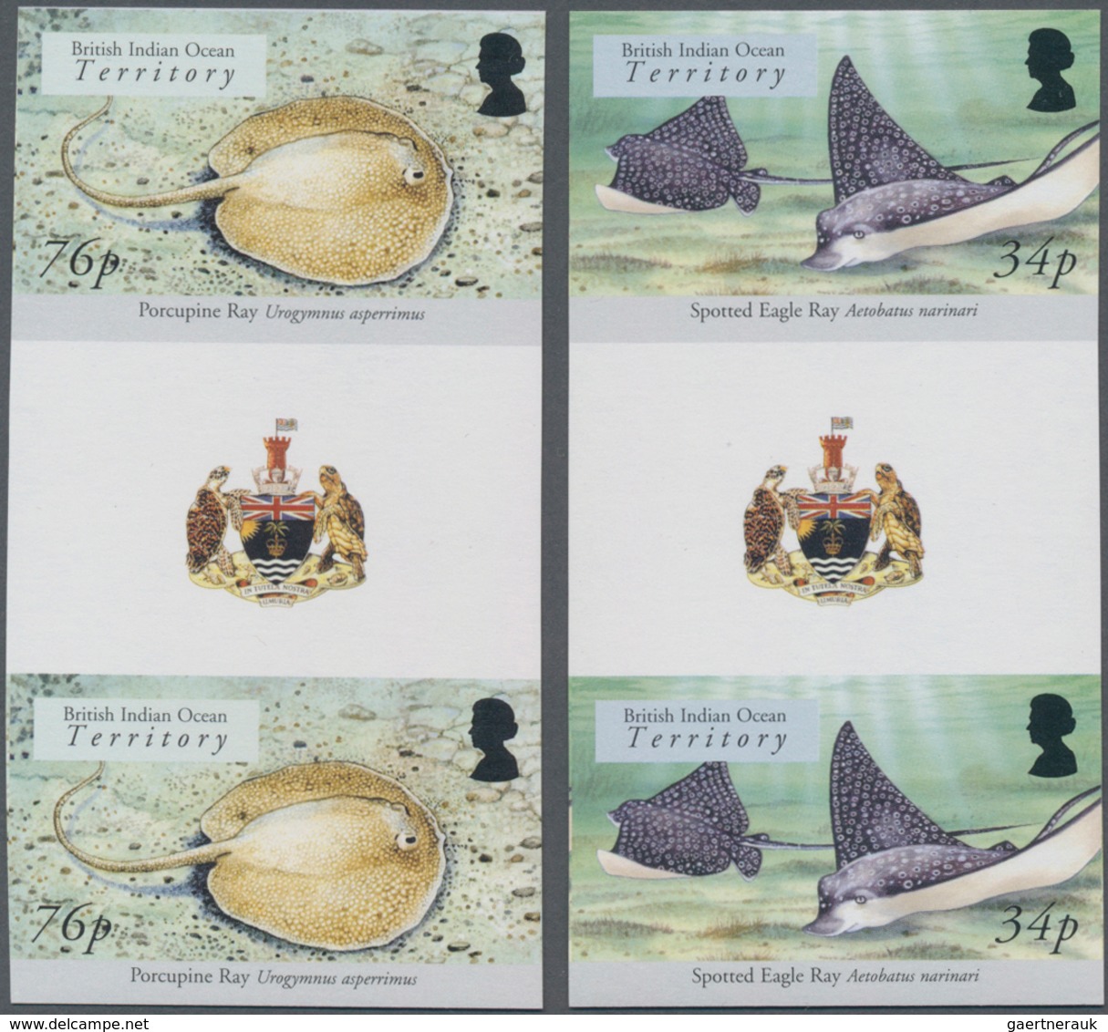 Britisches Territorium Im Indischen Ozean: 2005, Sharks And Rays Complete Set Of Eight In Vertical I - Other & Unclassified