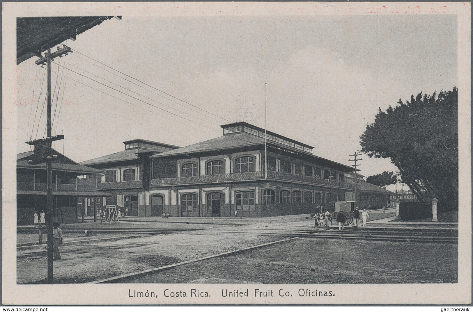 Costa Rica: 1923, Pictorial Stat. Postcard 4c. Red 'Coffee Plant' With Red Advert. 'Drink Costa Rica - Costa Rica