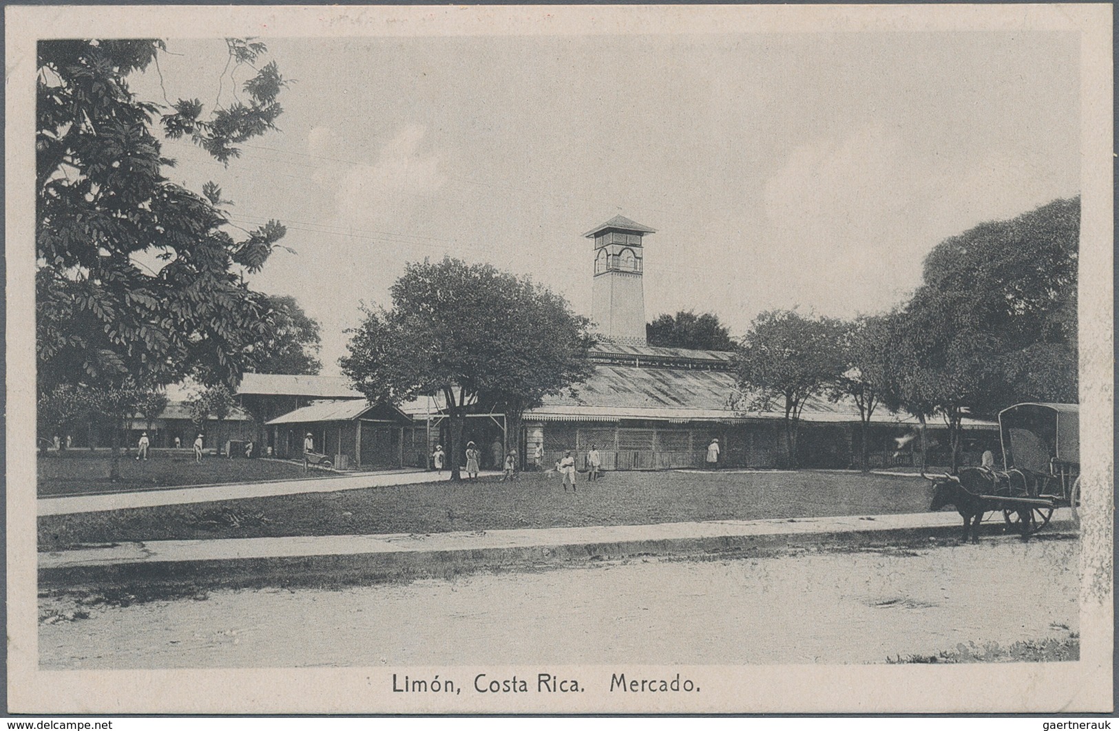 Costa Rica: 1923, Pictorial Stat. Postcard 4c. Red 'Coffee Plant' With Red Advert. 'Drink Costa Rica - Costa Rica