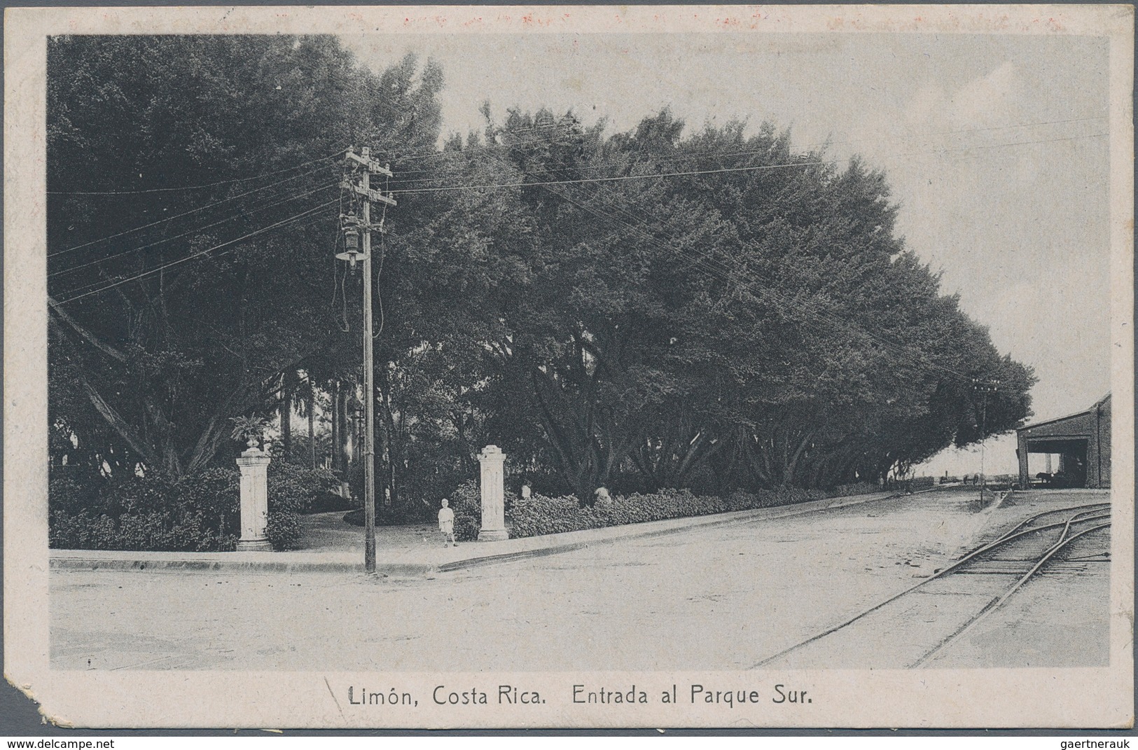 Costa Rica: 1923, Pictorial Stat. Postcard 4c. Red 'Coffee Plant' With Red Advert. 'Drink Costa Rica - Costa Rica