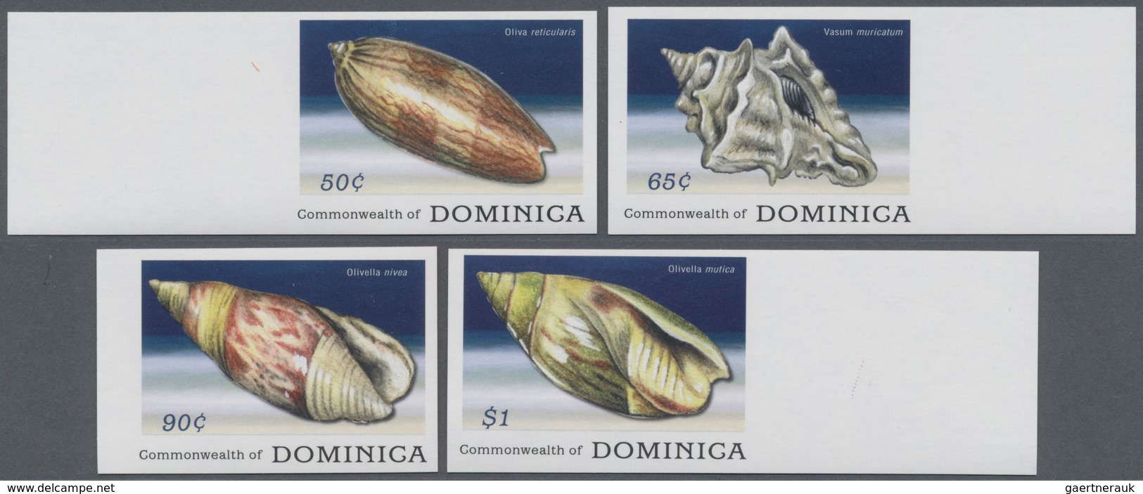 Dominica: 2009, Sea Snails Complete IMPERFORATE Set Of Four From Left Or Right Margins, Mint Never H - Dominica (...-1978)