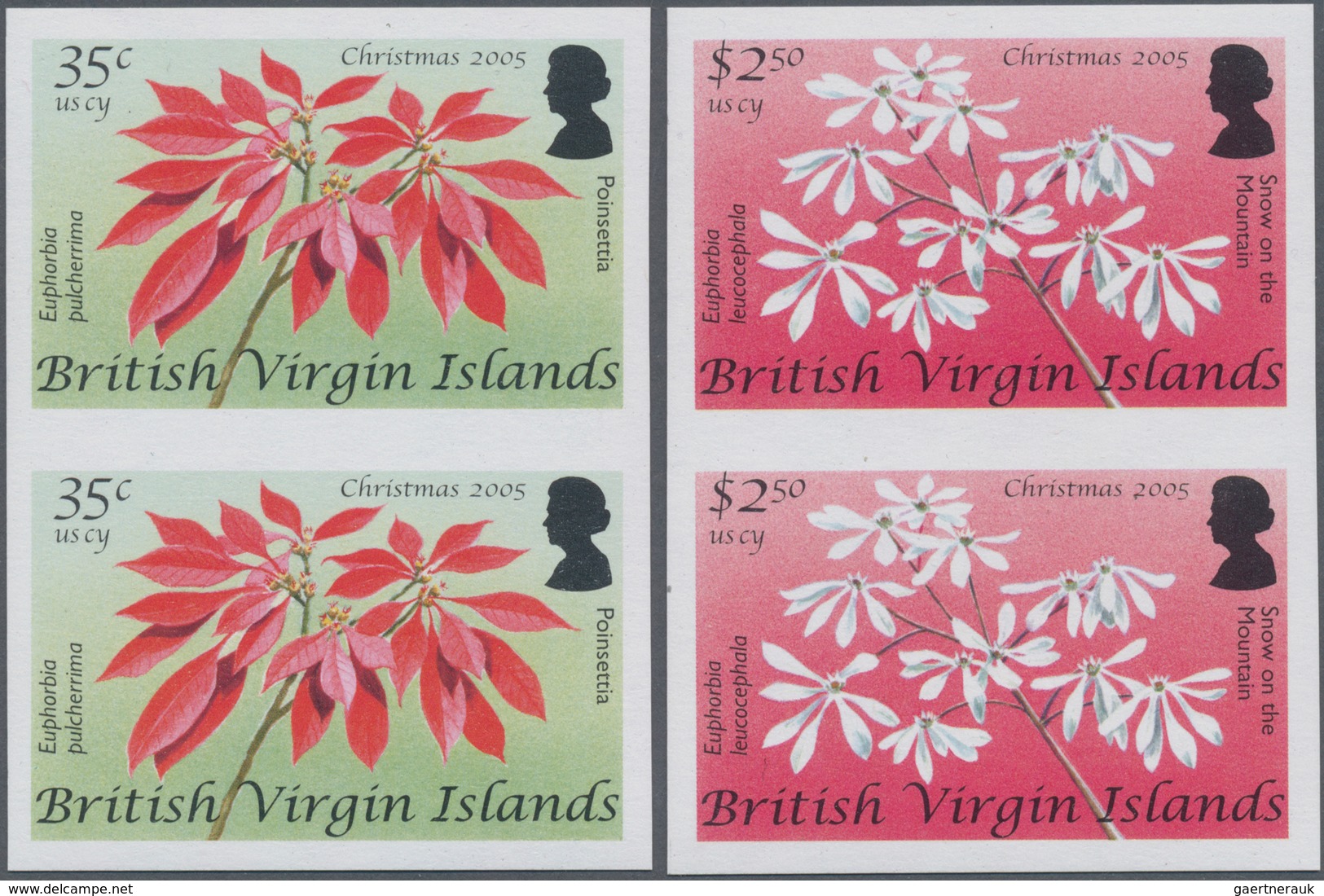 Jungferninseln / Virgin Islands: 2005, Christmas Complete Set Of Four Showing Different Blossoms Etc - Britse Maagdeneilanden