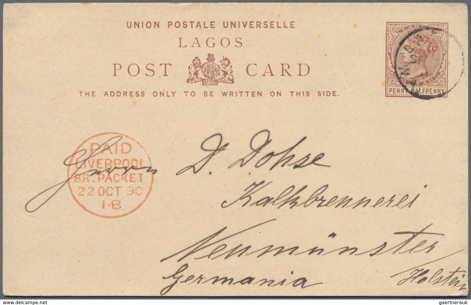 Lagos: 1890 (14.9.), Stat. Postcard QV 1½d Brown (139 X 89 Mm) Commercially Used From LAGOS To Neumü - Nigeria (...-1960)