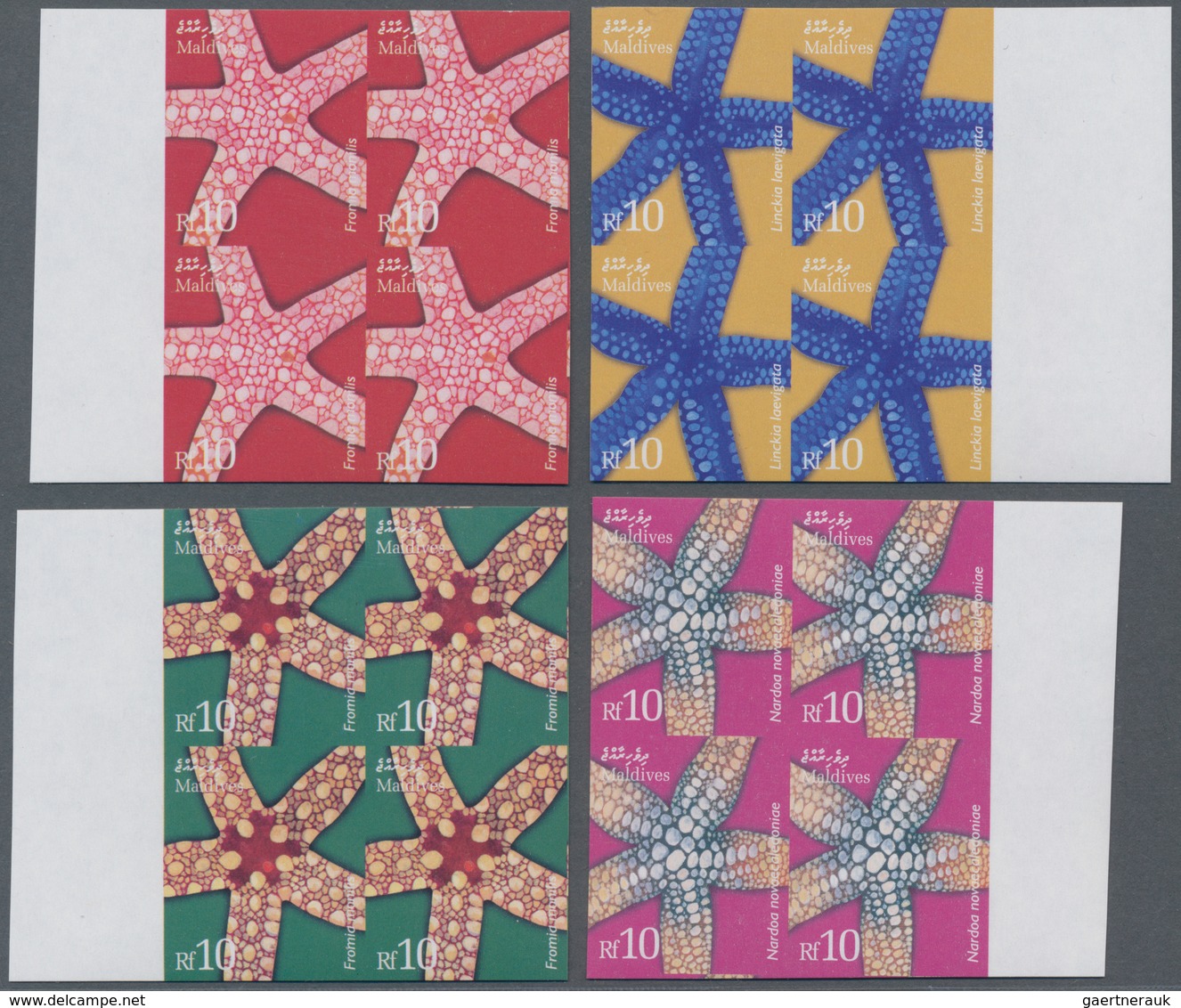 Malediven: 2004, Star Fishes Complete Set Of Four In IMPERFORATE Blocks Of Four From Right Or Left M - Maldiven (1965-...)