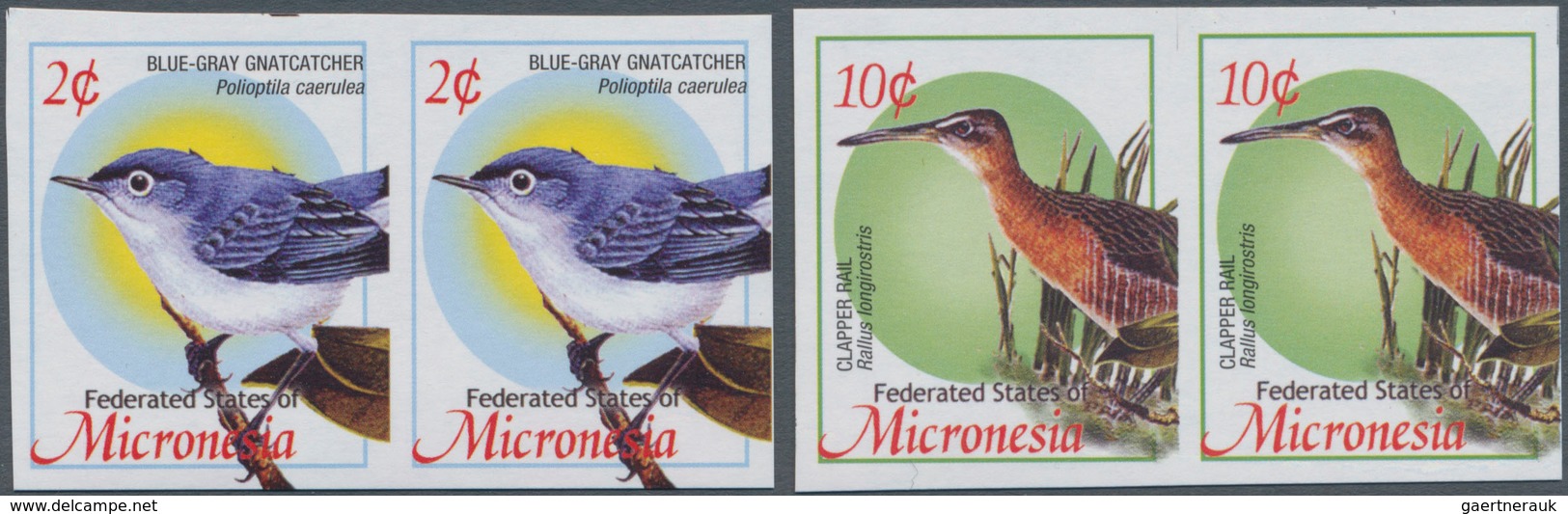 Mikronesien: 2004, Definitive Issue 'birds' Set Of Two With 2c. Polioptila Caerulea And 10c. Rallus - Micronesië