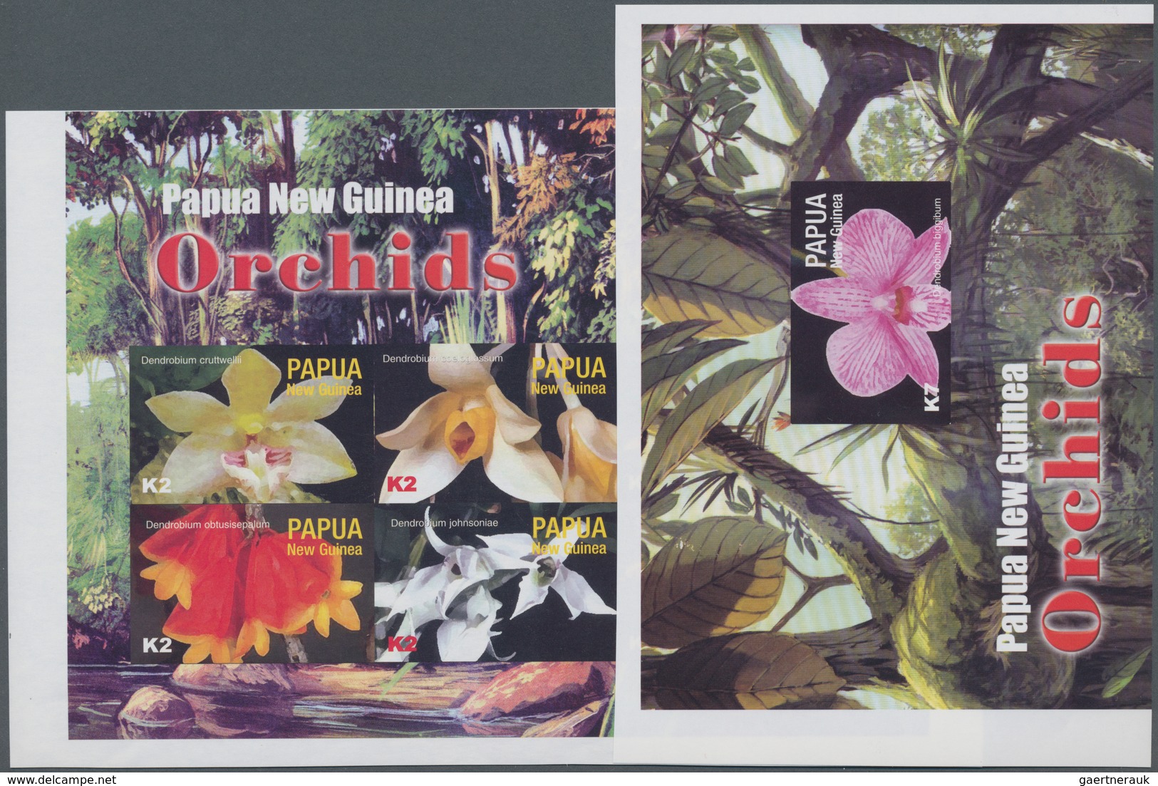 Papua Neuguinea: 2004, Native Orchids Complete Set Of Six In Vertical IMPERFORATE Pairs, The Imperf. - Papoea-Nieuw-Guinea