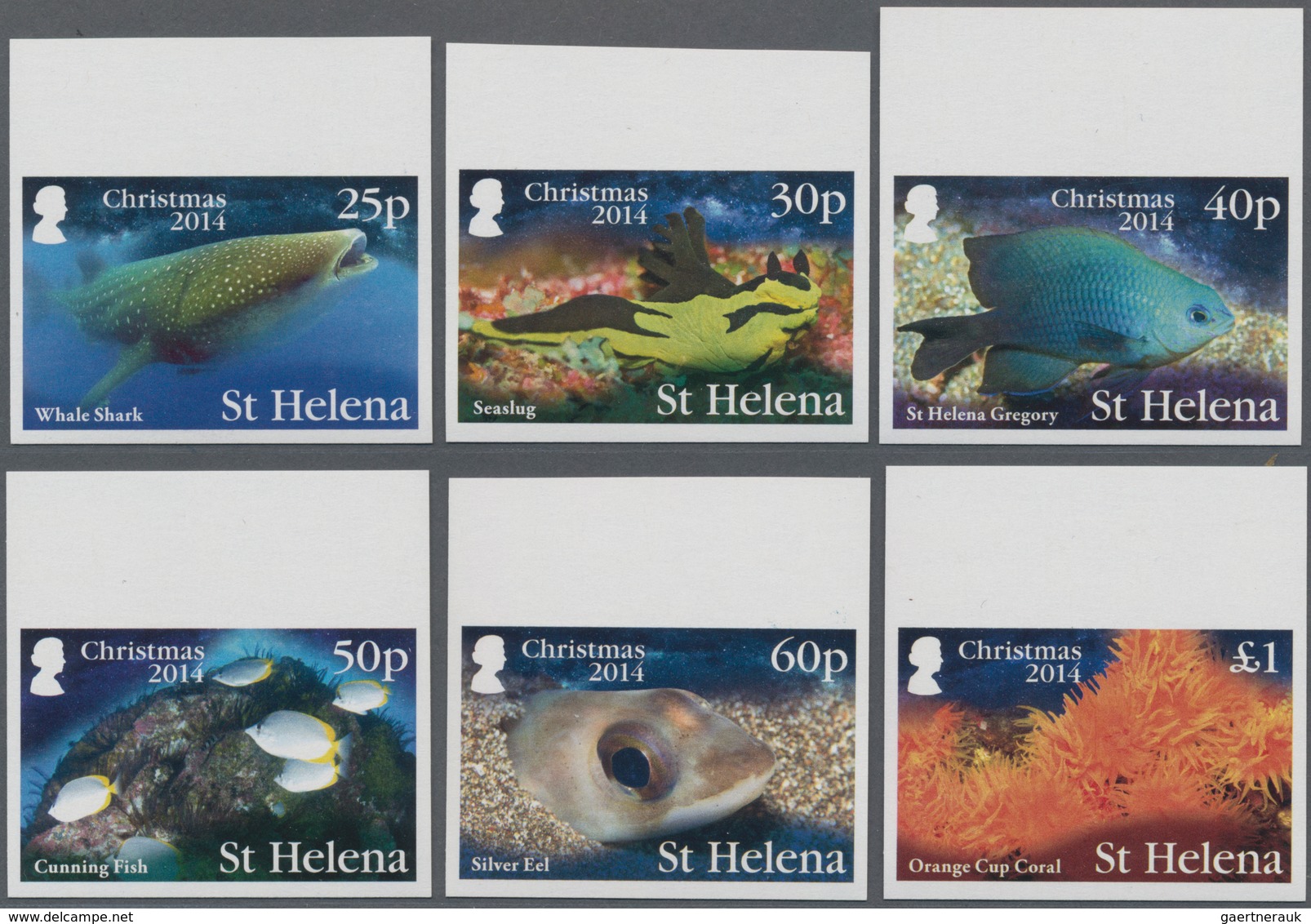 St. Helena: 2014, Christmas 'Sea-animals' (Whale Shark, Seaslug, St. Helena Gregory, Cunning Fish, S - Sint-Helena