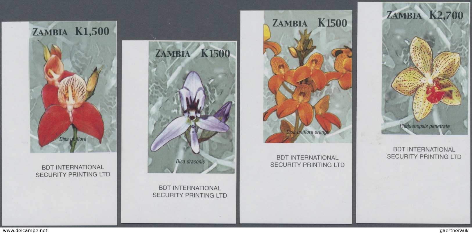 Sambia: 2005, African Orchids IMPERFORATE Set Of Four From Lower Left Corners With Imprint 'BDT Inte - Zambia (1965-...)