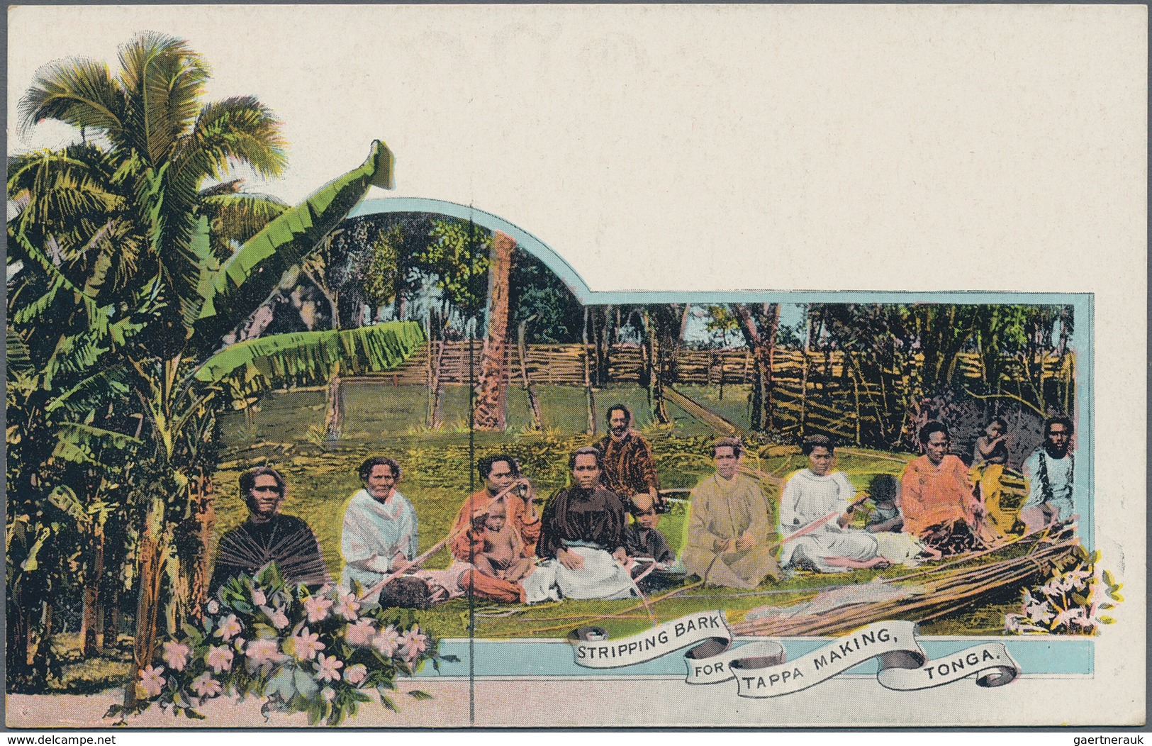 Tonga: 1907, Four Pictorial Stat. Postcards 1d. Native Tree Showing Different Views On Reverse Incl. - Tonga (...-1970)