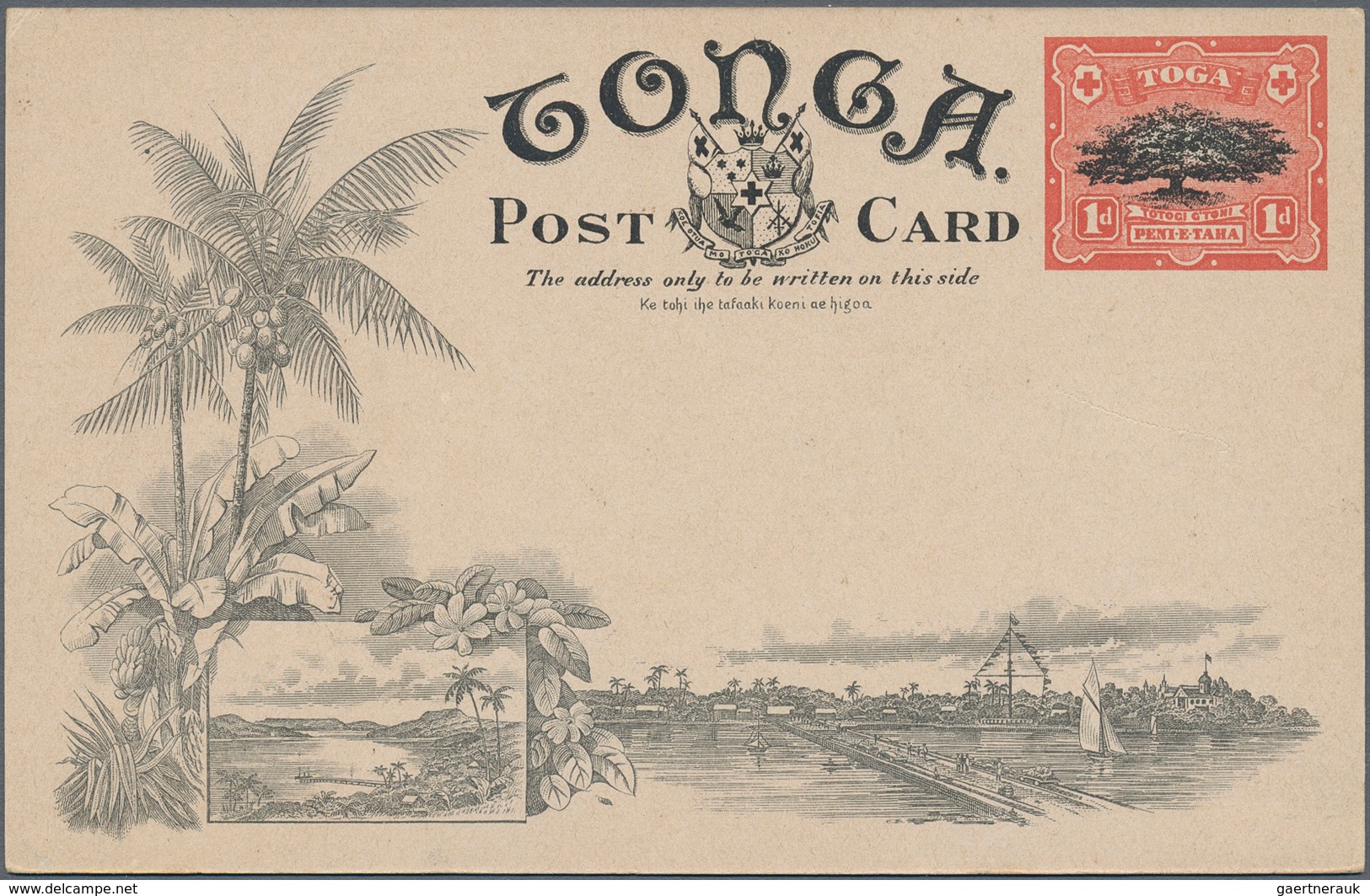 Tonga: 1907, Four Pictorial Stat. Postcards 1d. Native Tree Showing Different Views On Reverse Incl. - Tonga (...-1970)