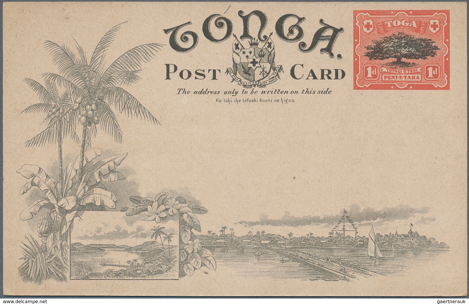 Tonga: 1907, four pictorial stat. postcards 1d. native tree showing different views on reverse incl.