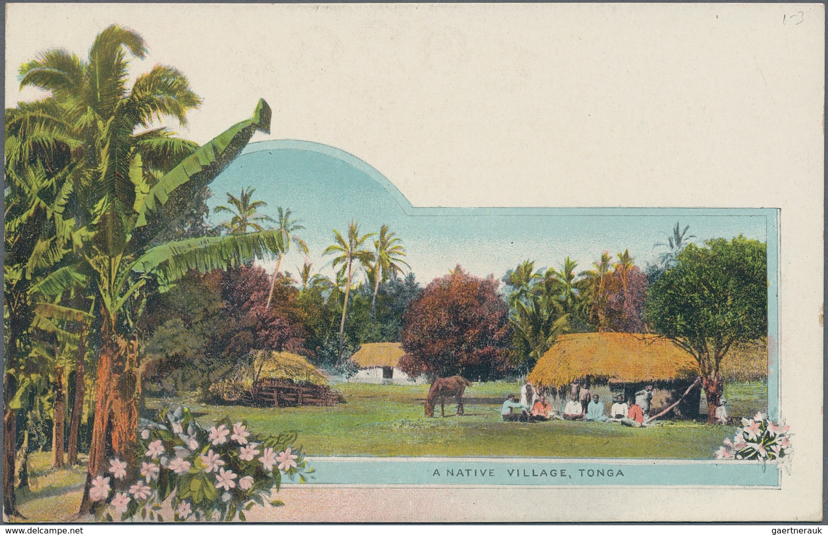 Tonga: 1907, four pictorial stat. postcards 1d. native tree showing different views on reverse incl.