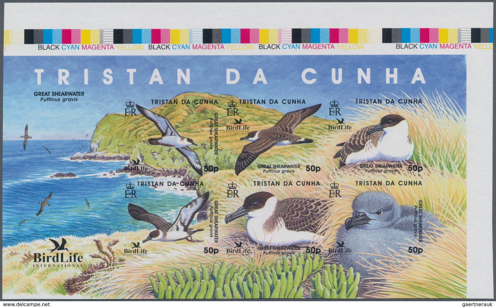 Tristan Da Cunha: 2007, BirdLife International (Great Shearwater; Puffinus Gravis) IMPERFORATE Sheet - Tristan Da Cunha