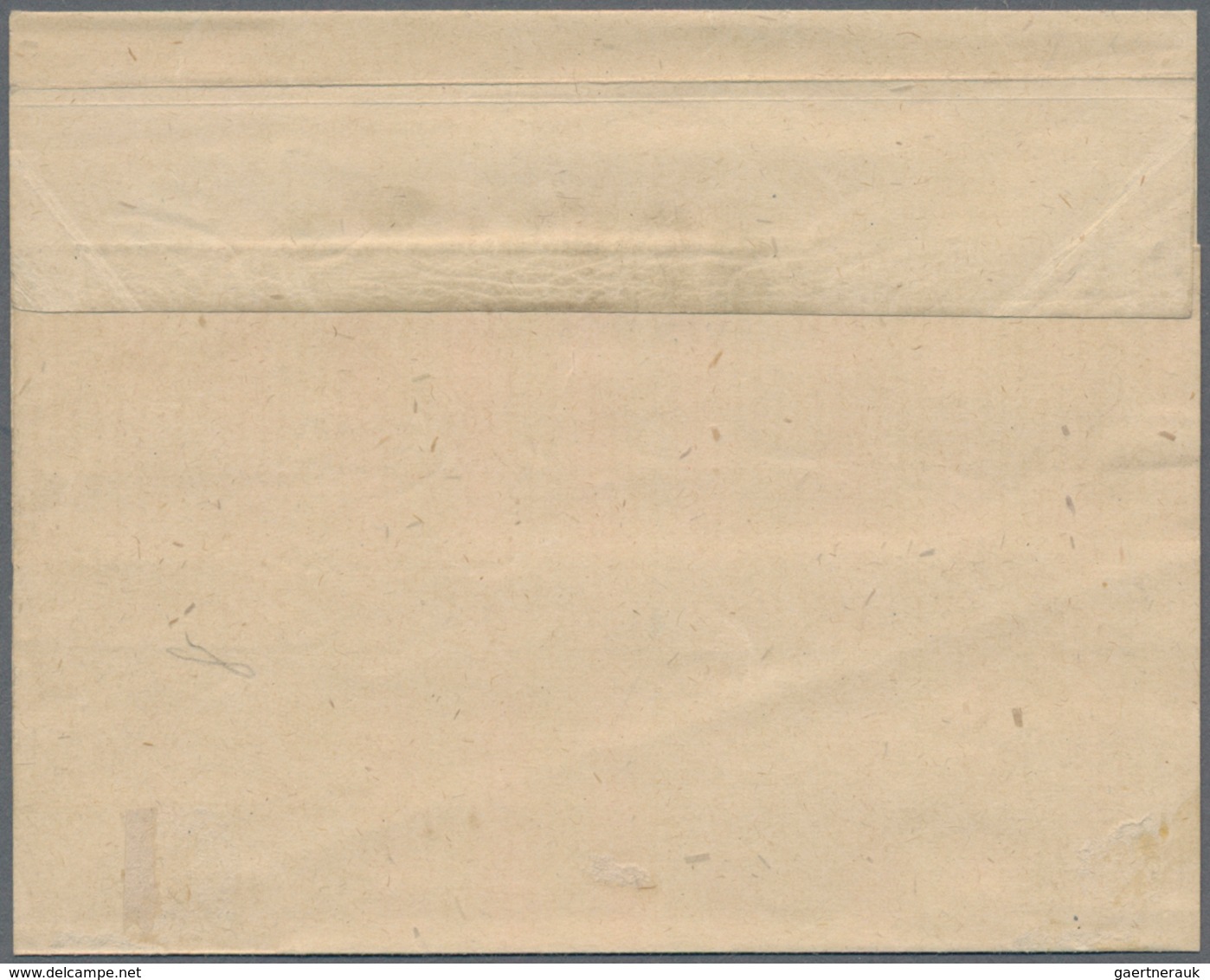 Vereinigte Staaten Von Amerika - Ganzsachen: 1863/64: 2c Jackson Wrapper (Scott W51), Mint, Very Fin - Other & Unclassified