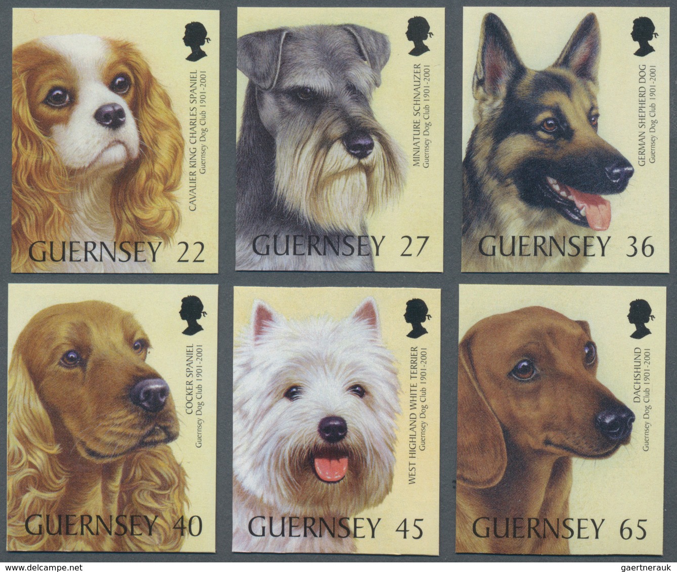 Großbritannien - Guernsey: 2001. Complete Set "100 Years Guernsey Dog Club: Dog Breeds" (6 Values) I - Guernsey