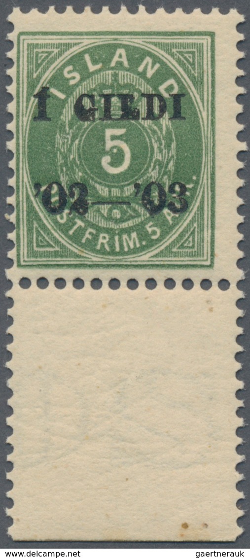 Island: 1902-03 5a. Green With Bottom Sheet Margin, Perf 12¾, With BLACK OVERPRINT "Í GILDI/'02-'03" - Andere & Zonder Classificatie