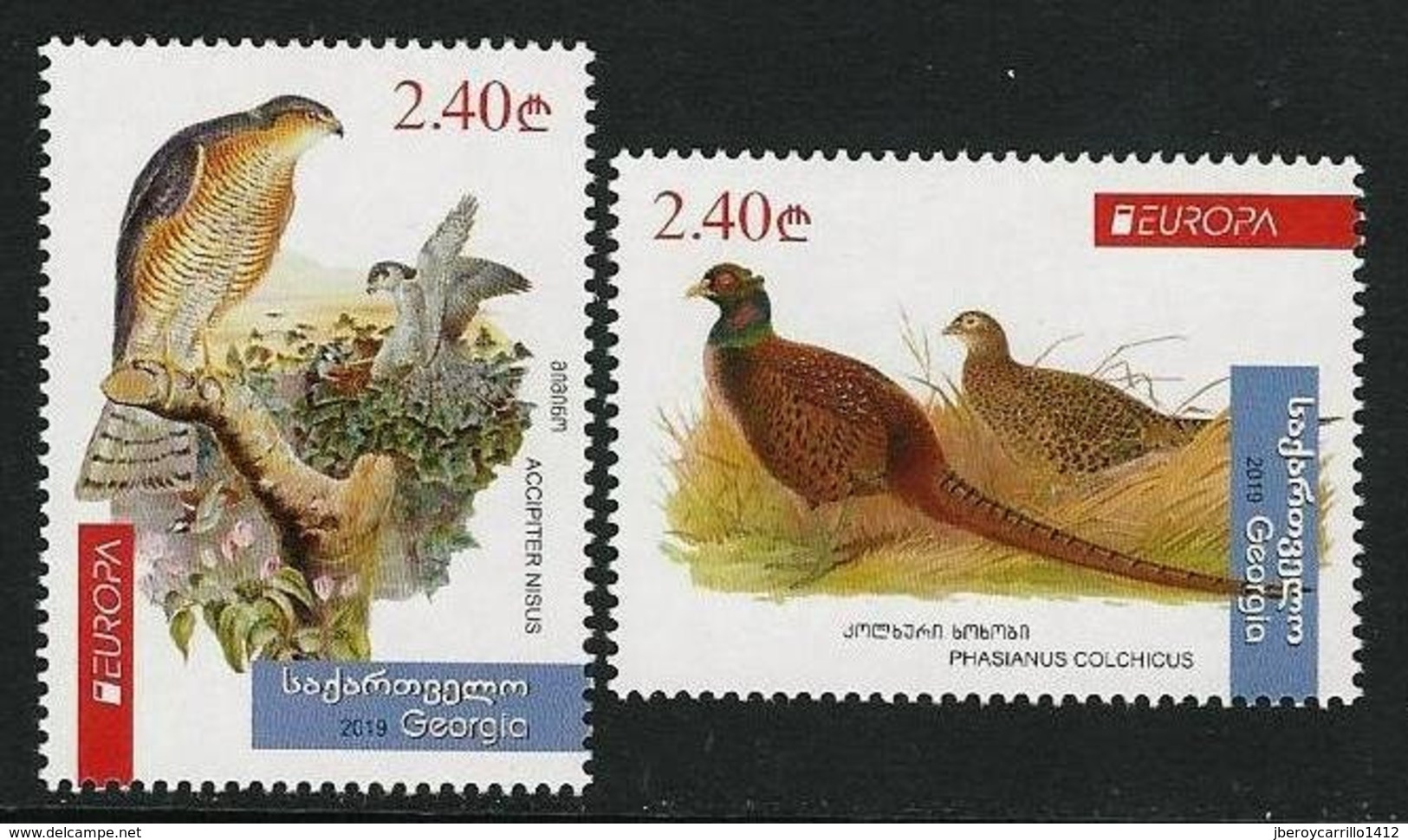 GEORGIA /GEORGIEN /LA  GÉORGIE -EUROPA 2019 -NATIONAL BIRDS.-"AVES -BIRDS -VÖGEL -OISEAUX"- SERIE De 2 V. - N - 2019