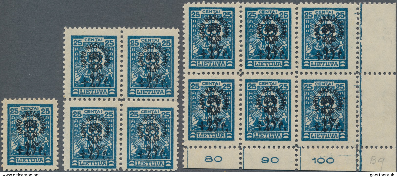 Litauen: 1924 'War Orphans' (Karo Našlaičių) 25+25c. Blue, MESH WATERMARK, Bottom Right Corner Block - Lituanie