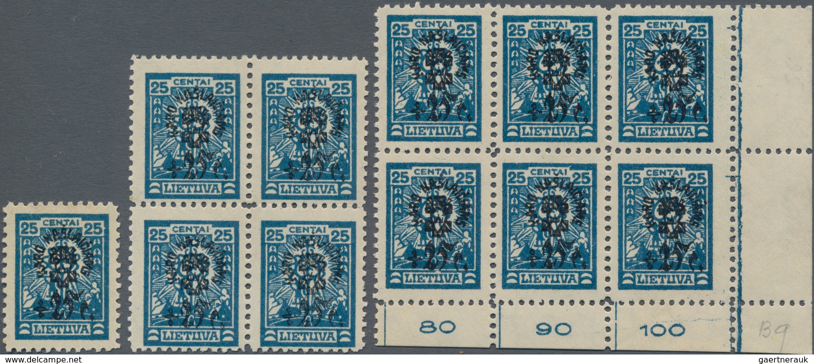 Litauen: 1924 'War Orphans' (Karo Našlaičių) 25+25c. Blue, MESH WATERMARK, Bottom Right Corner Block - Lithuania