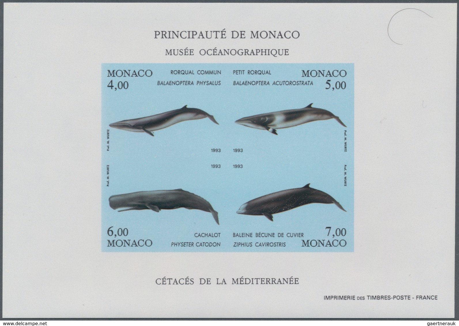 Monaco: 1992/1994, Whales And Dolphins Set Of Three Different IMPERFORATE Miniature Sheets, Mint Nev - Ungebraucht