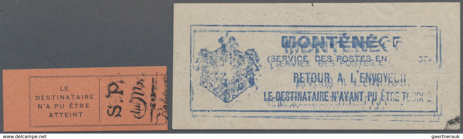 Montenegro - Besonderheiten: 1916, Government In Exile, Set Of 14 Retour Labels, Mainly Showing Vari - Montenegro