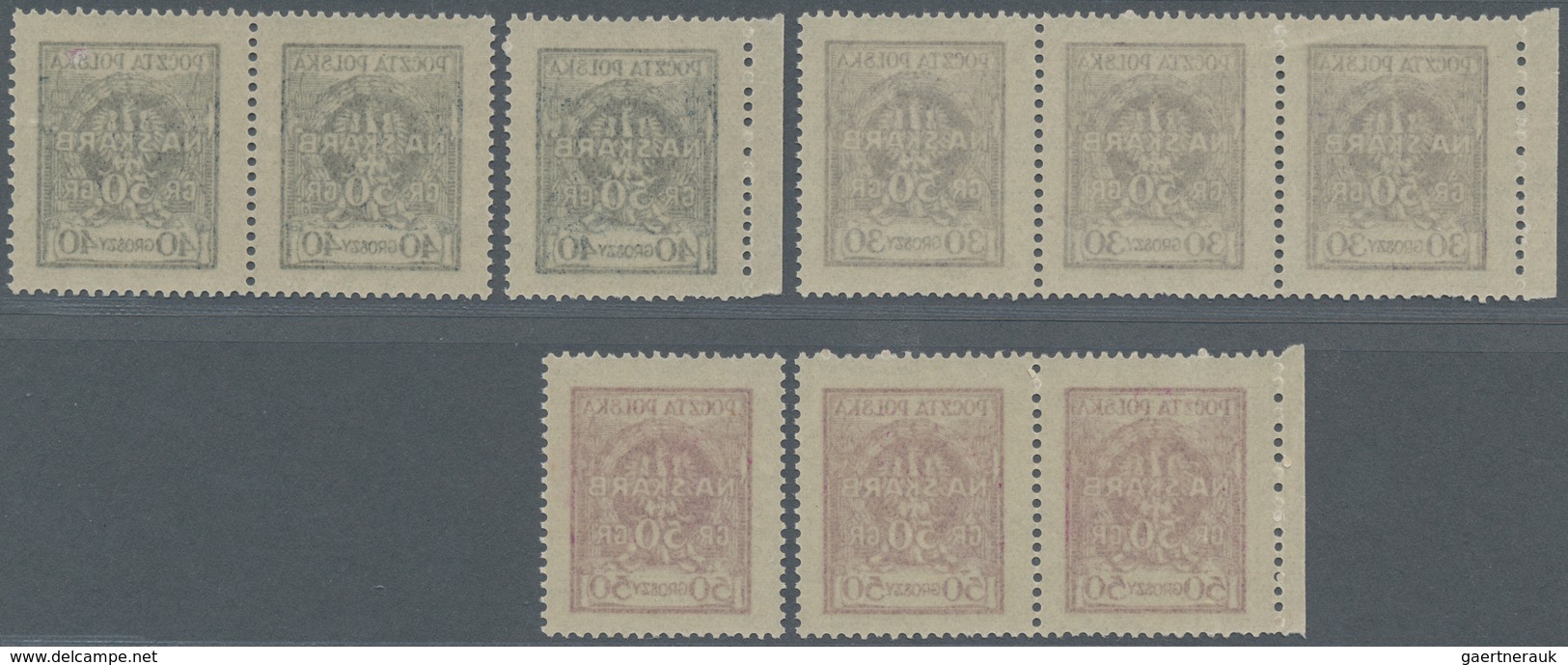 Polen: 1925, For The Treasury, Complete Set In Horizontal Stripes Of Three (40 G And 50 G Each Pair - Sonstige & Ohne Zuordnung