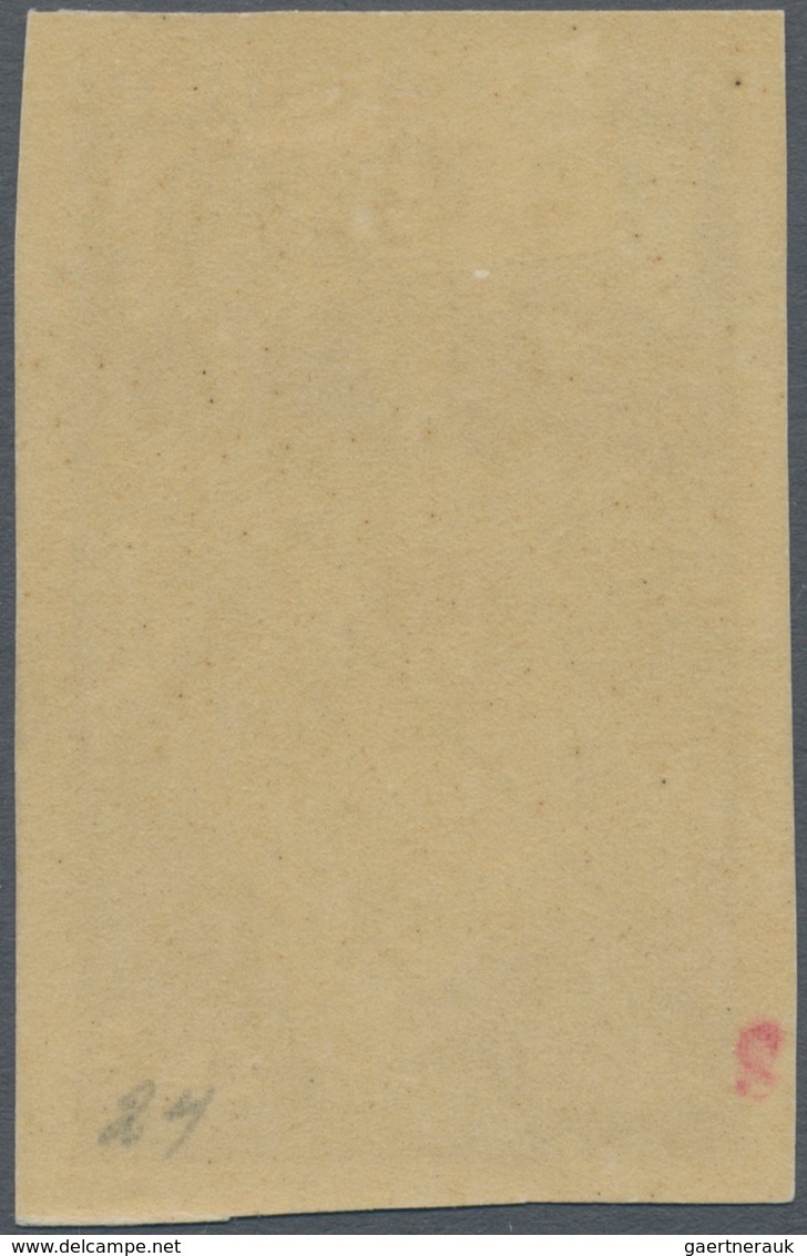 Sowjetunion: 1938, 1st Transpolar Flight 20kop. Brownish Black/red IMPERFORATE, Mint Original Gum Pr - Briefe U. Dokumente